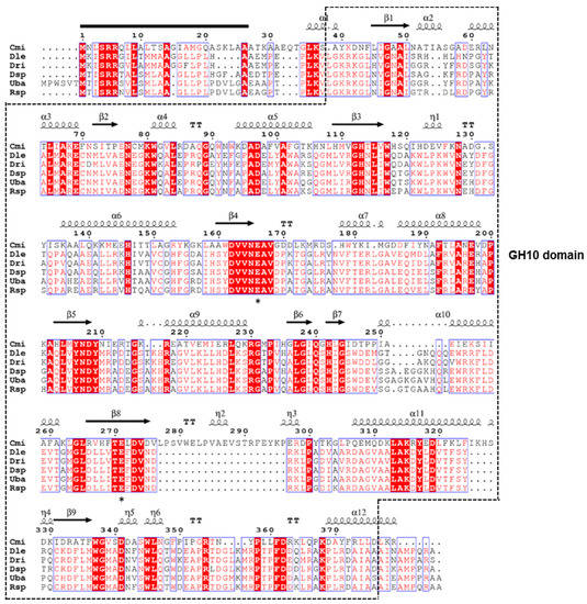 Phylogenetic, functional and structural characterization of a GH10