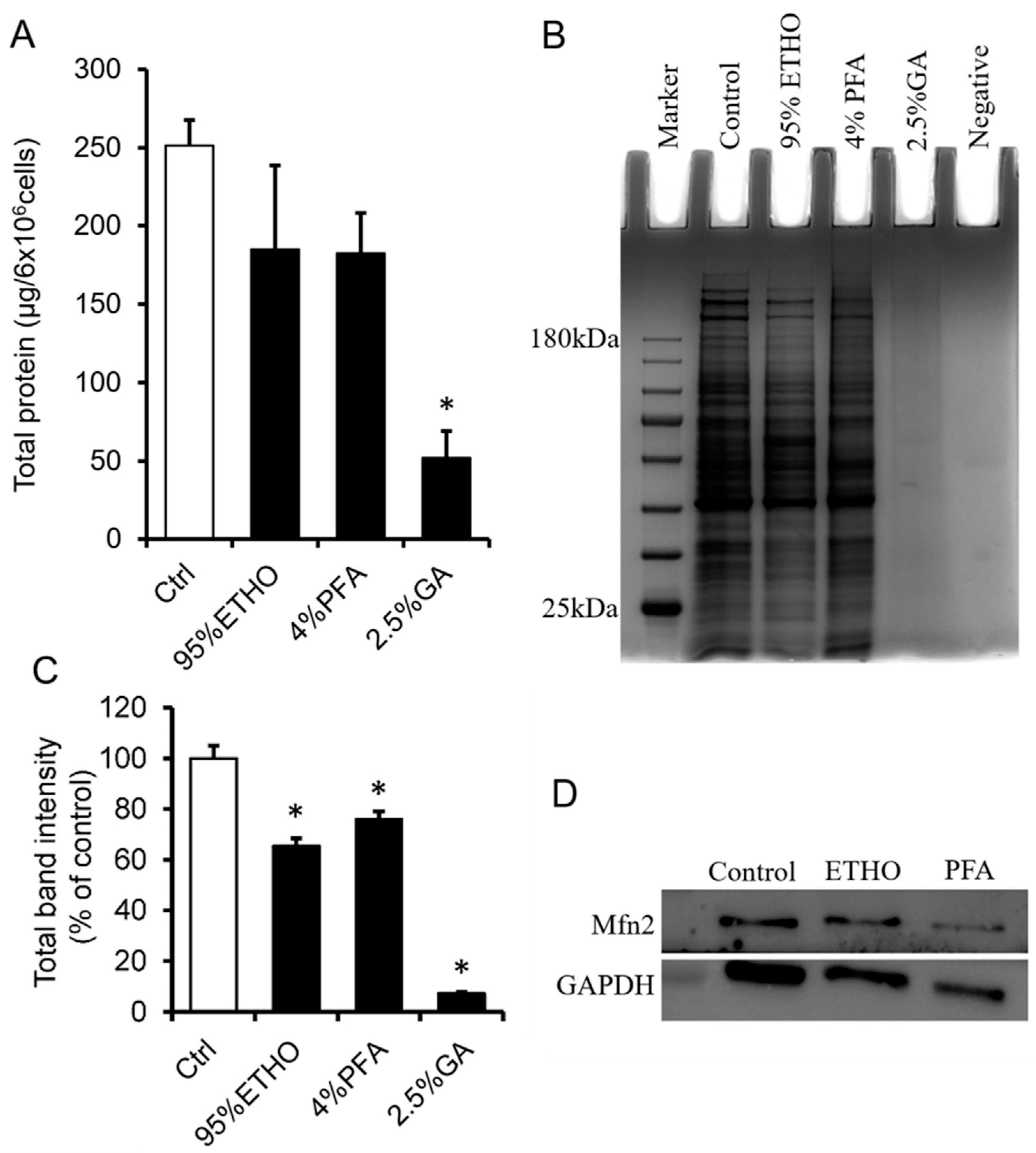 Biomolecules 11 00711 g002 Biomolecules 11 00711 g002