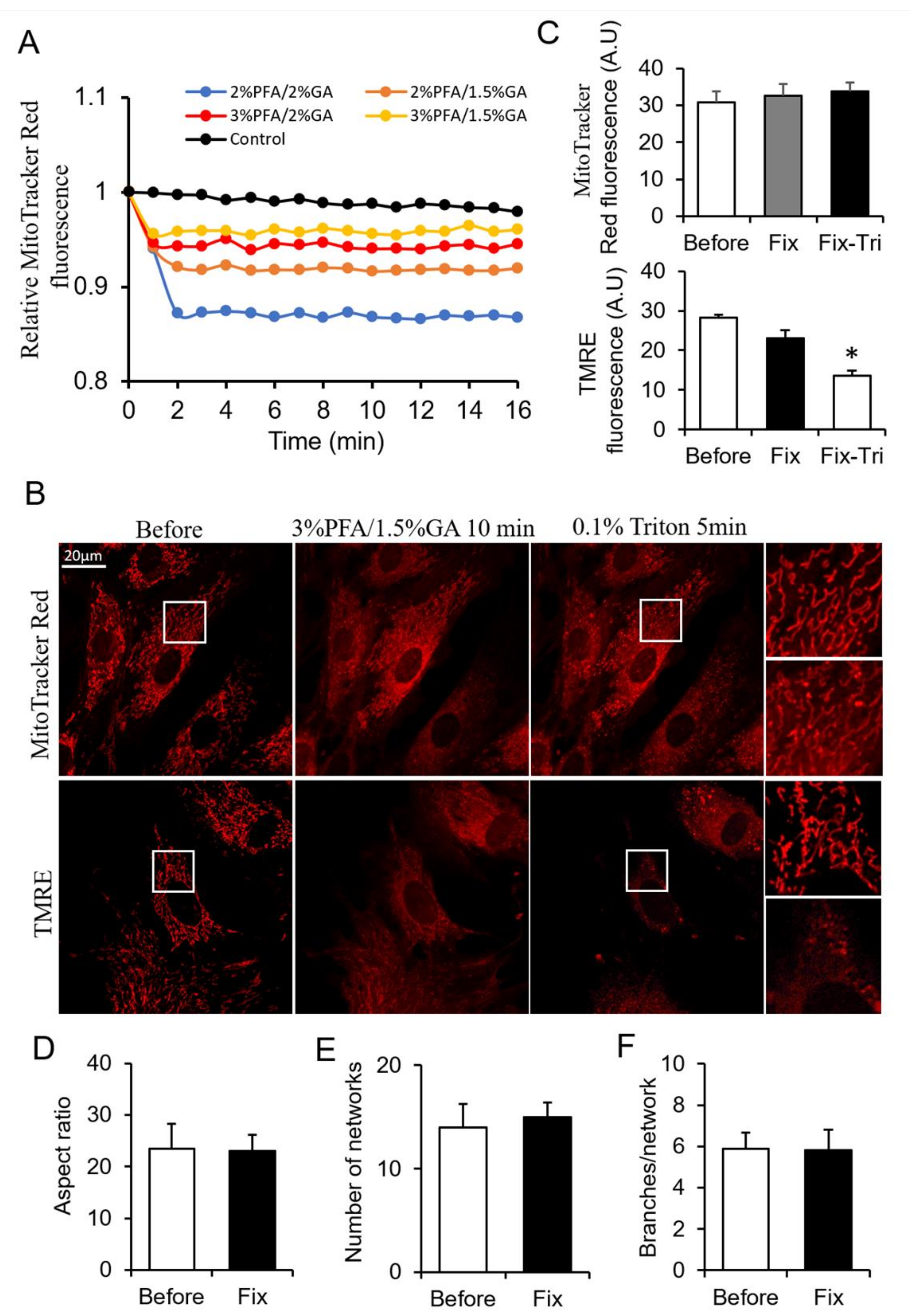 Biomolecules 11 00711 g003 Biomolecules 11 00711 g003