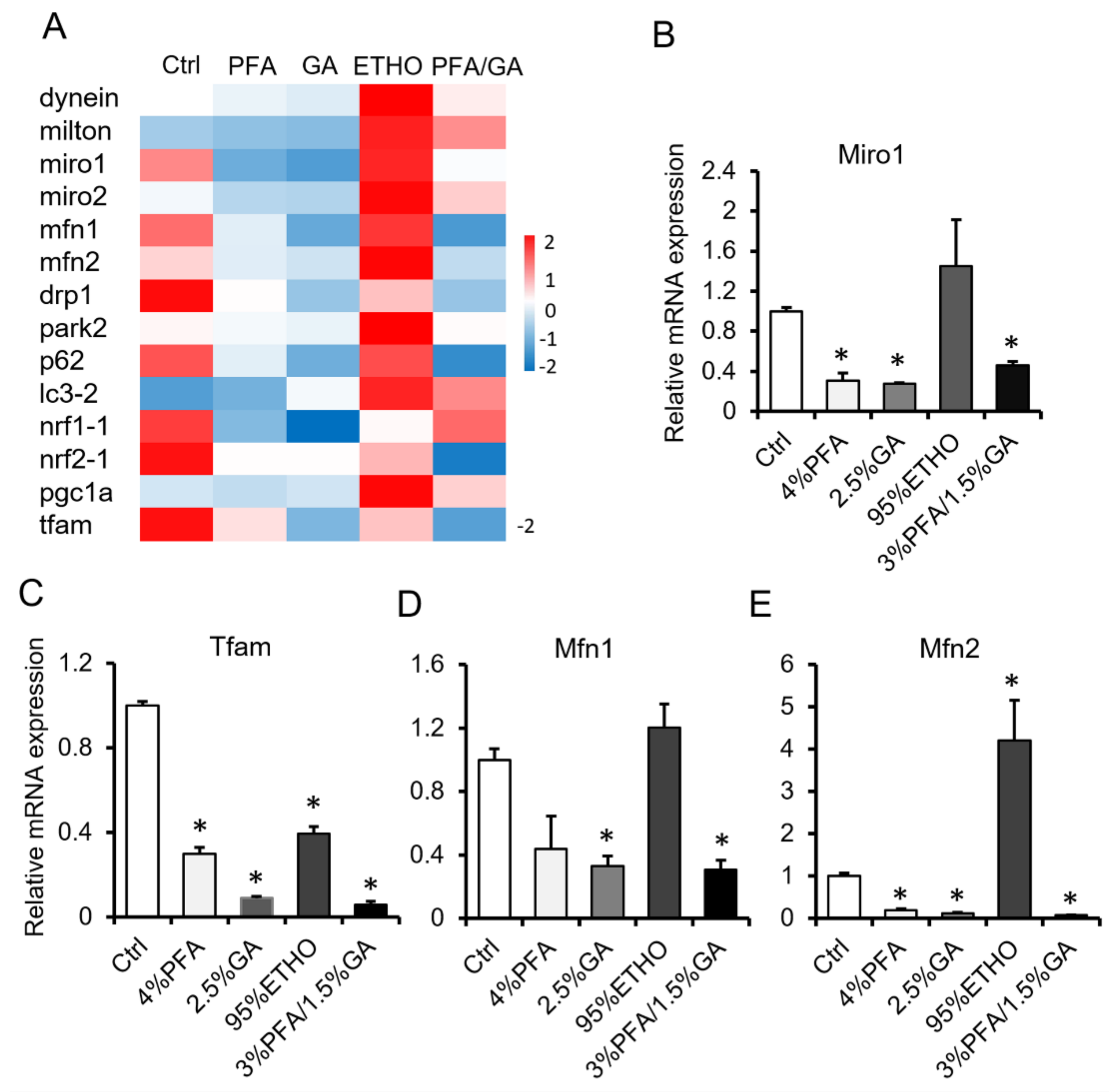 Biomolecules 11 00711 g004 Biomolecules 11 00711 g004