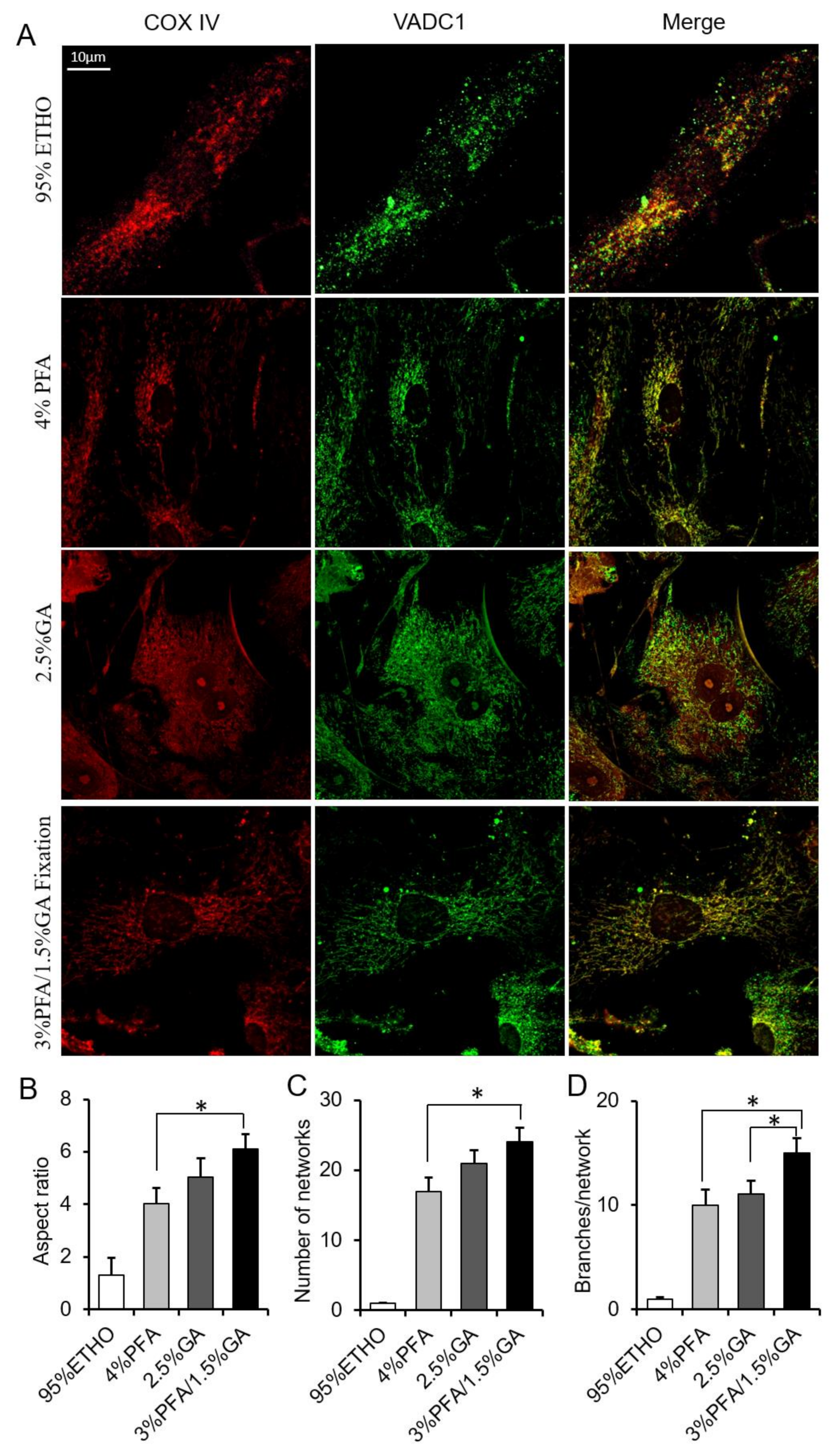 Biomolecules 11 00711 g005 Biomolecules 11 00711 g005