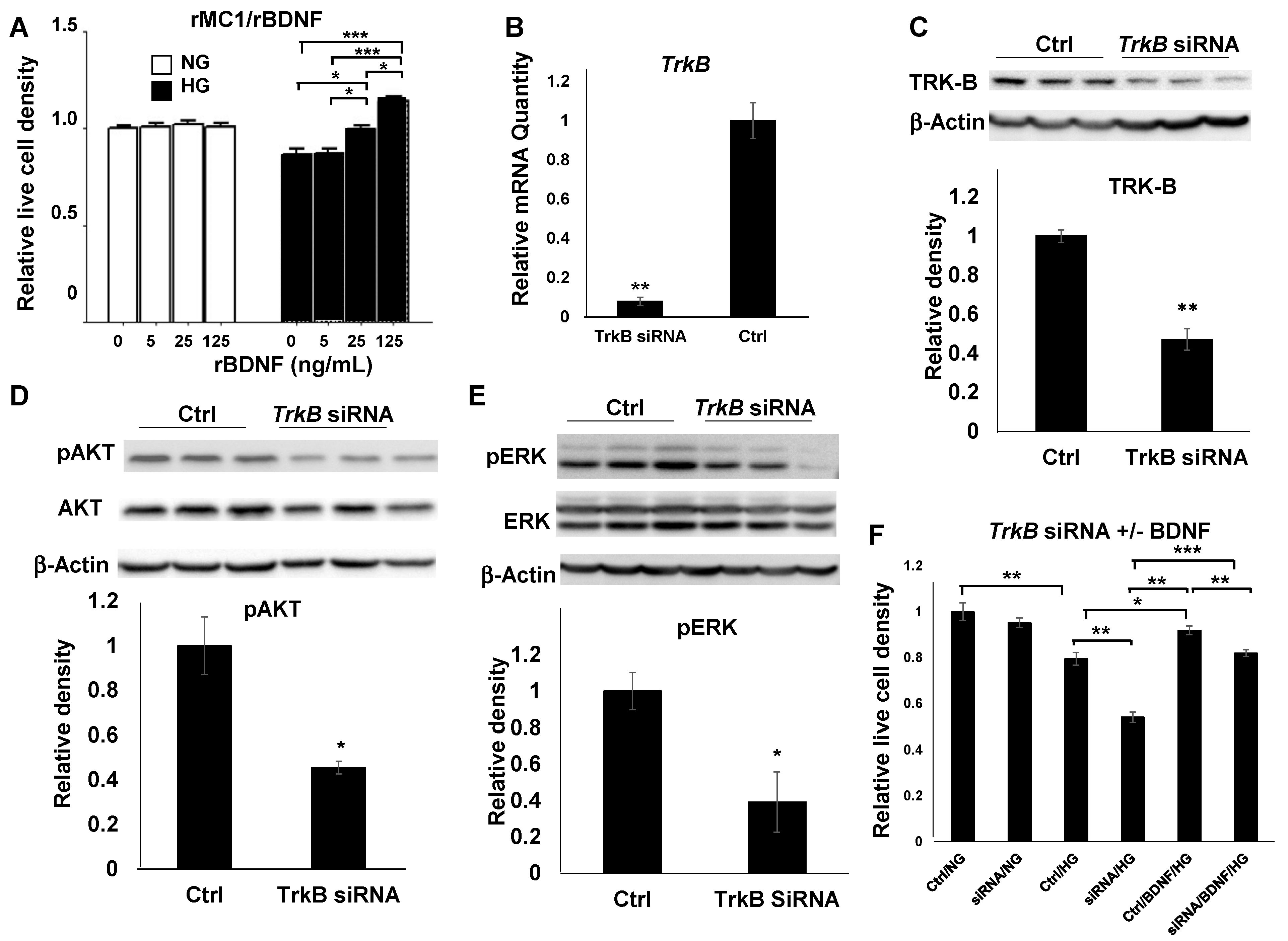 Biomolecules 11 00712 g003 Biomolecules 11 00712 g003