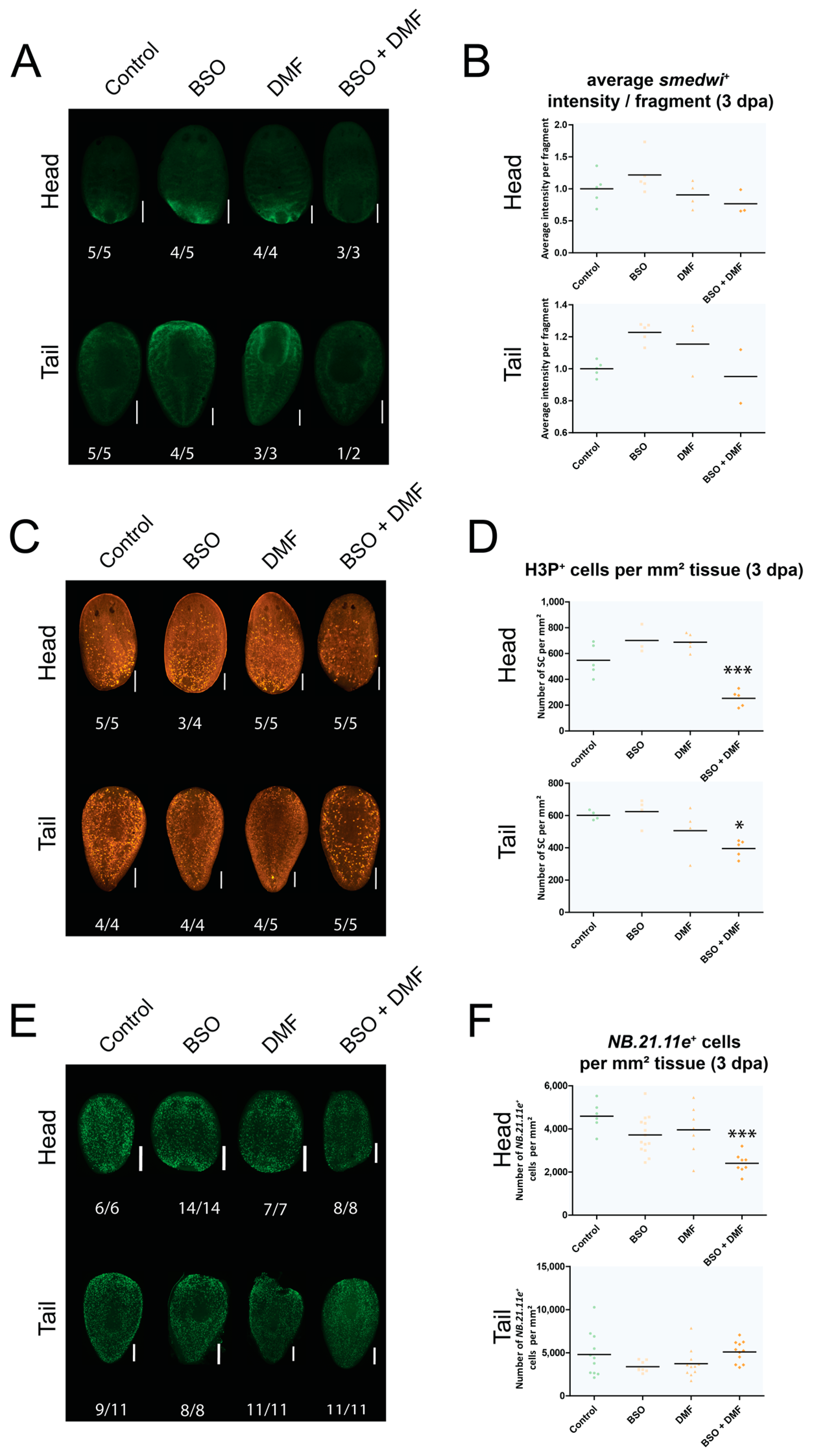 Biomolecules 11 00714 g005 Biomolecules 11 00714 g005