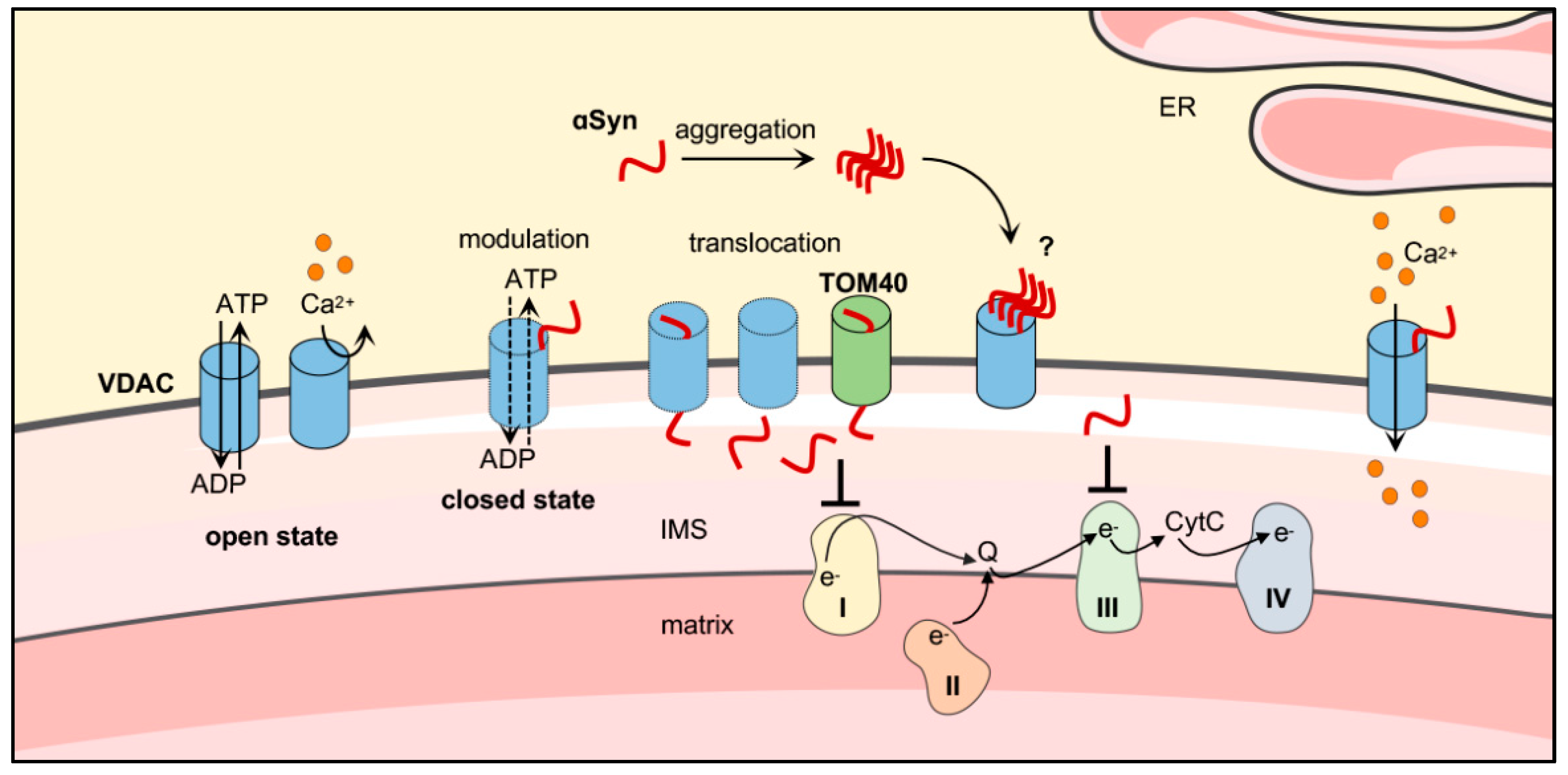 Biomolecules 11 00718 g002 Biomolecules 11 00718 g002