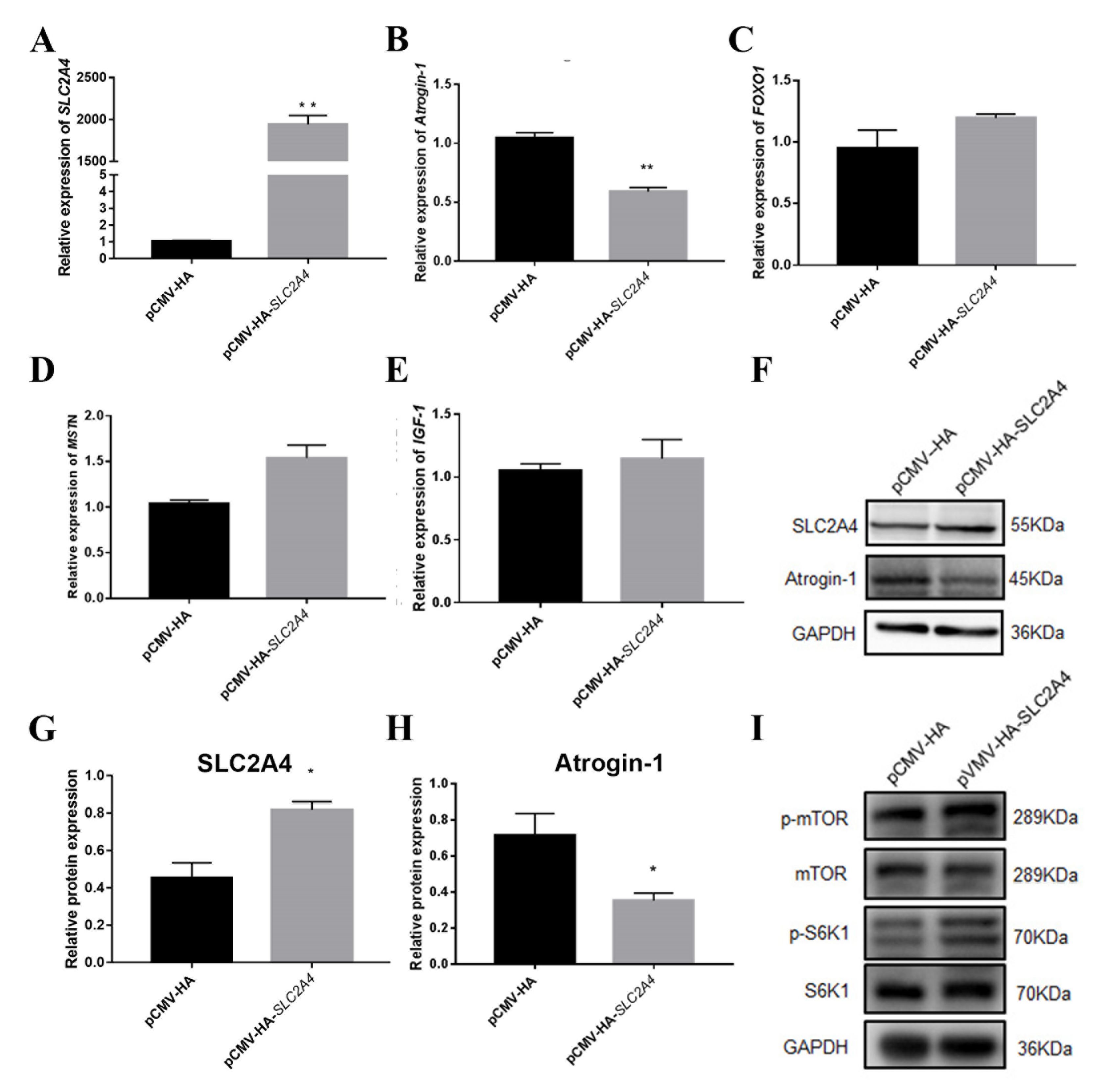 Biomolecules 11 00721 g008 Biomolecules 11 00721 g008