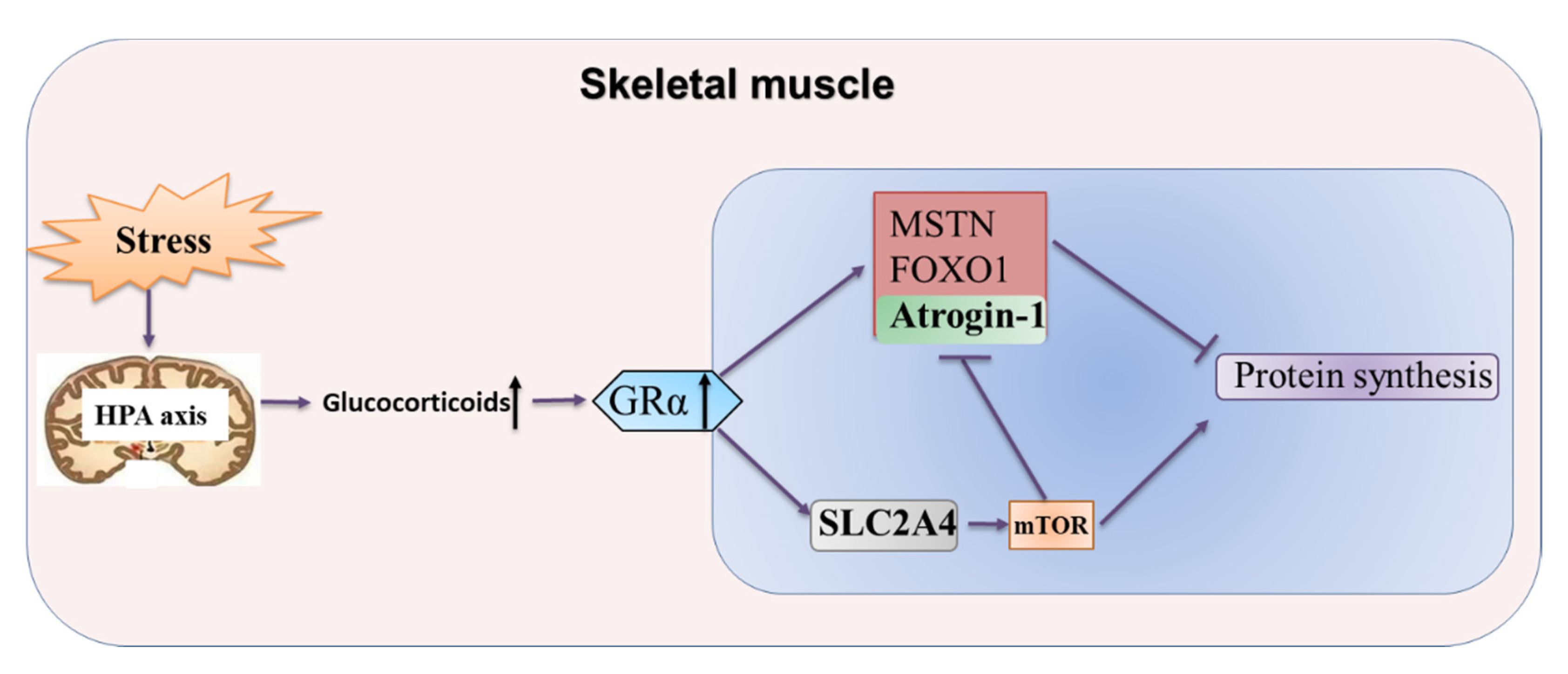 Biomolecules 11 00721 g009 Biomolecules 11 00721 g009