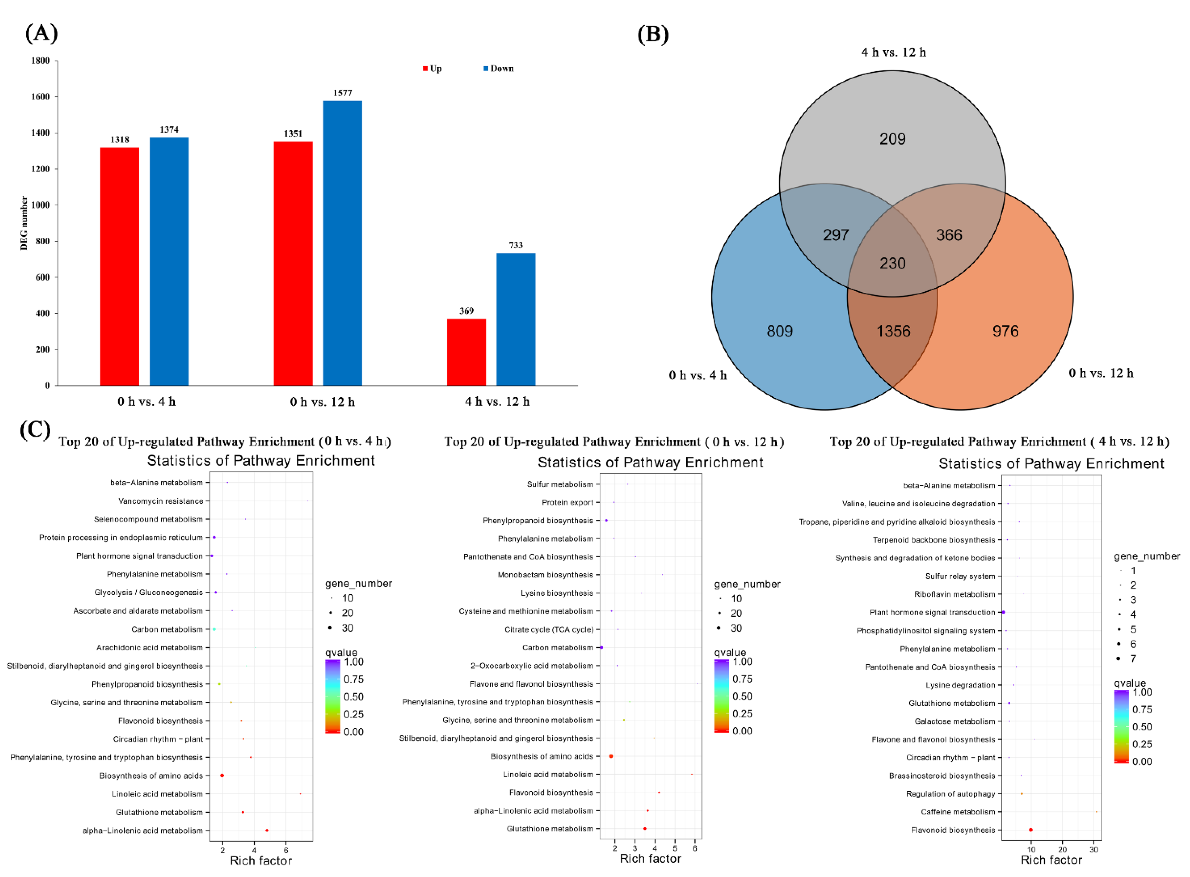 Biomolecules 11 00736 g001