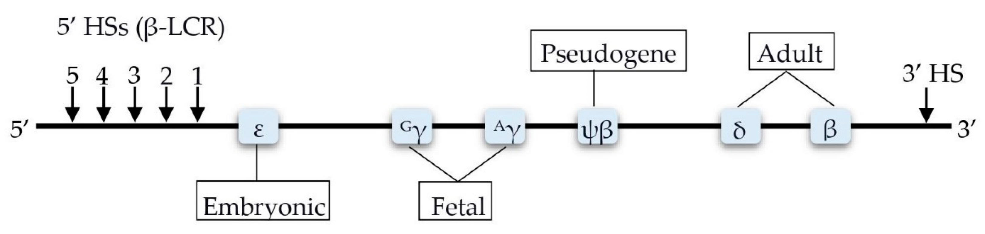 Biomolecules 11 00755 g002