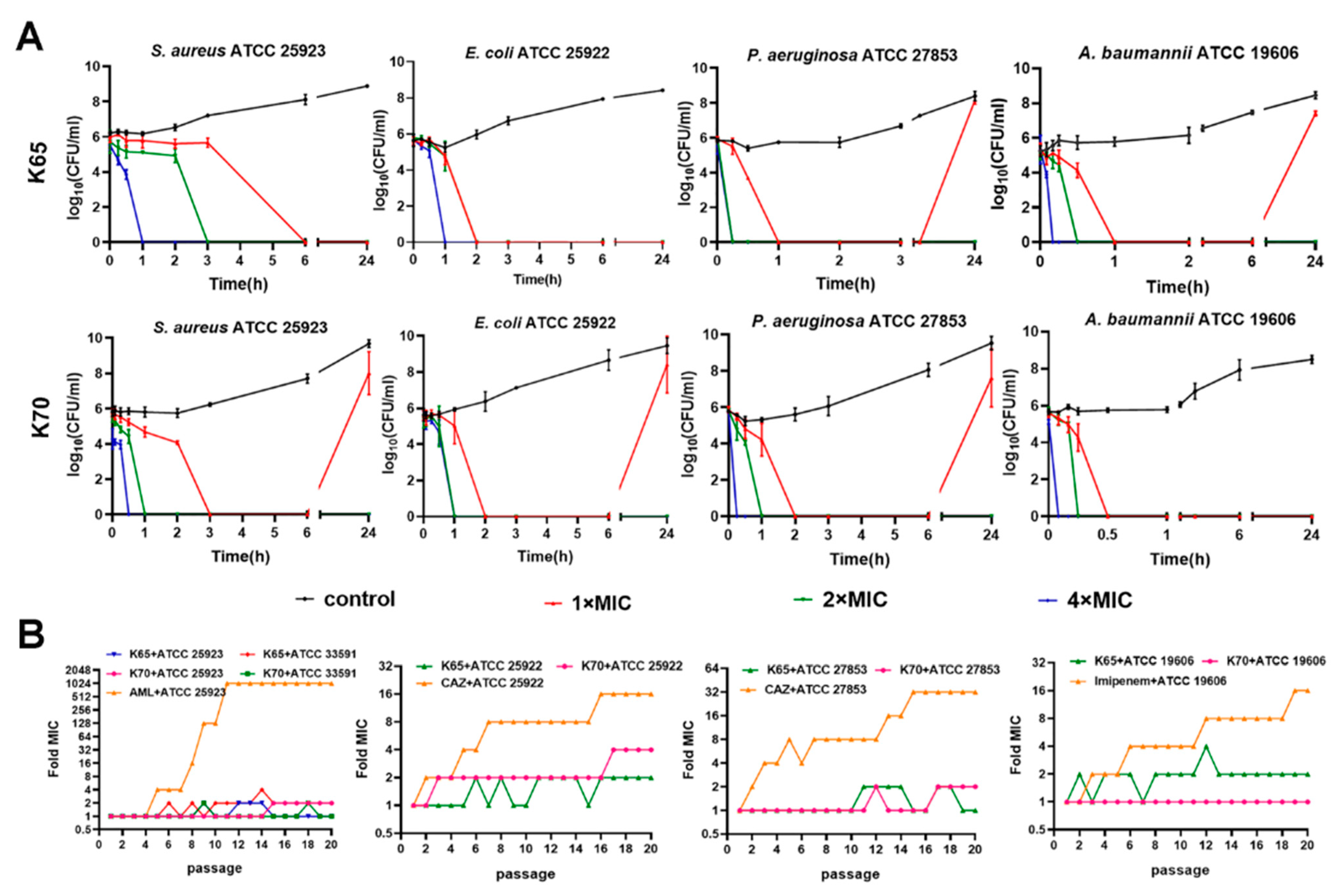 Biomolecules 11 00761 g003 Biomolecules 11 00761 g003