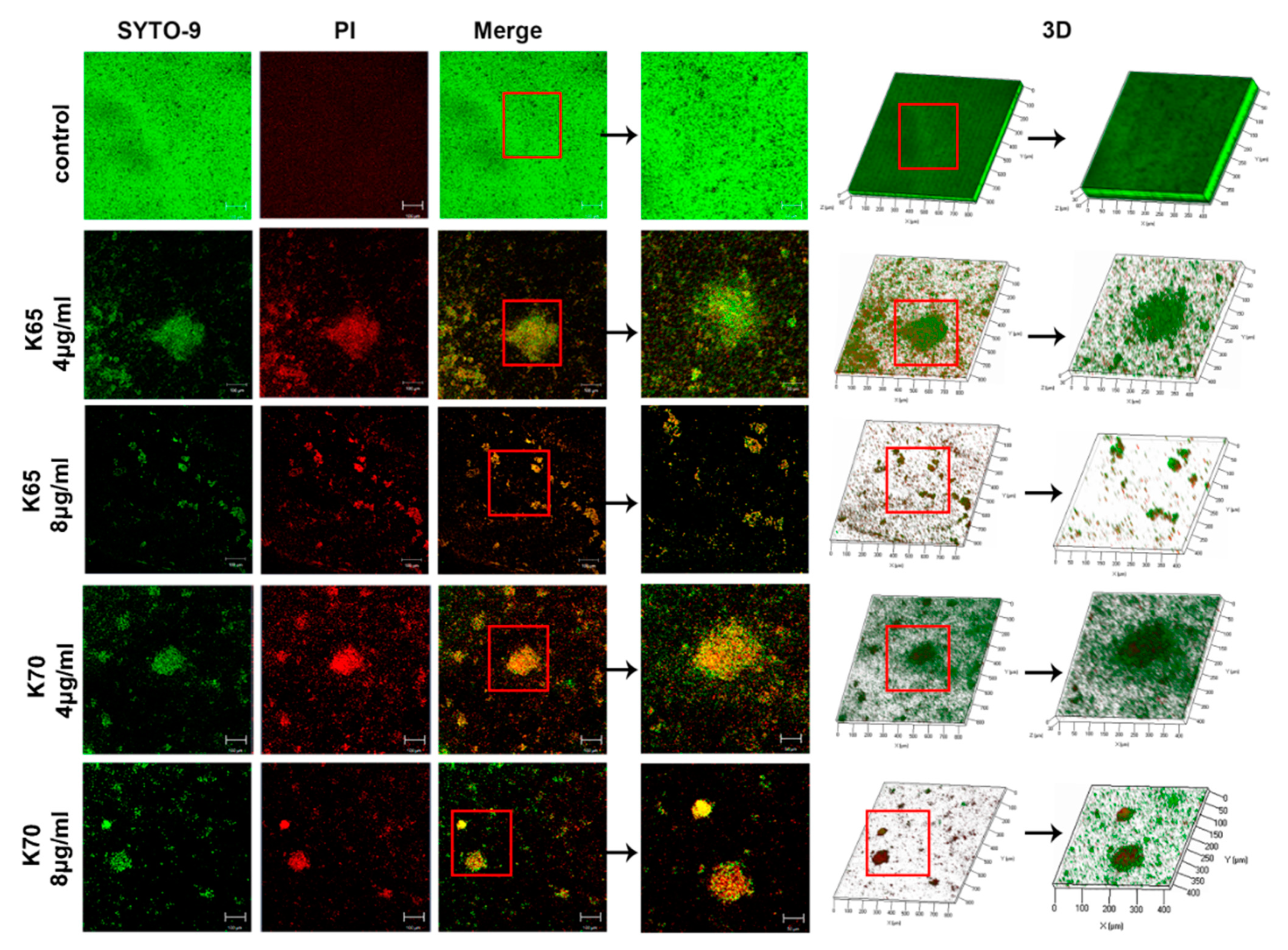 Biomolecules 11 00761 g005 Biomolecules 11 00761 g005