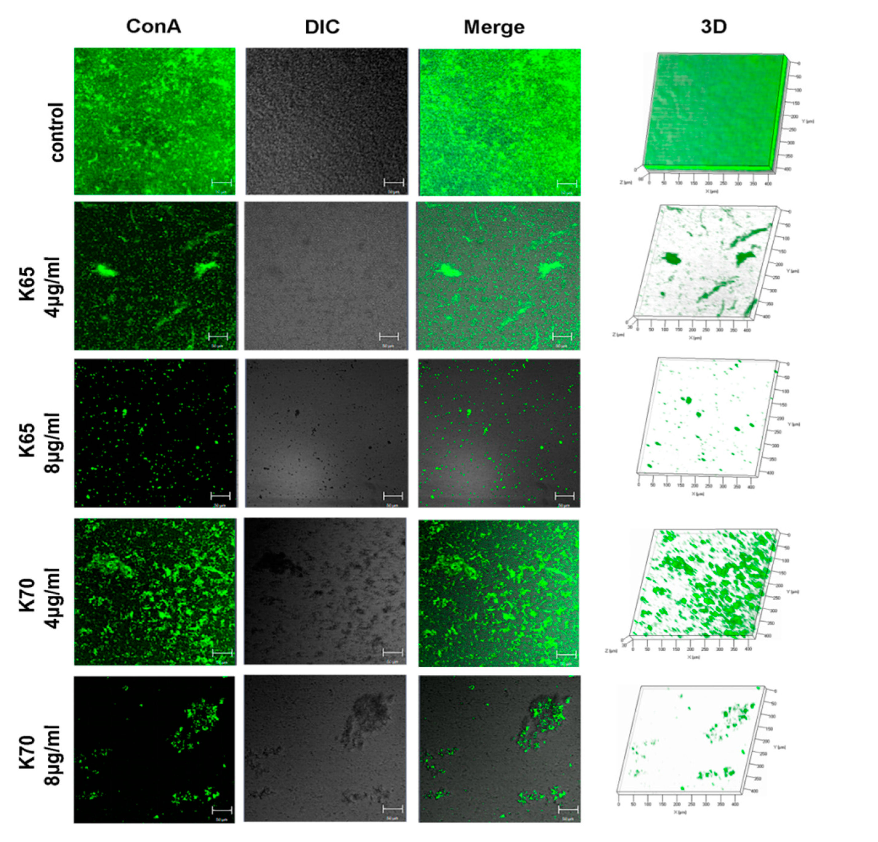 Biomolecules 11 00761 g006 Biomolecules 11 00761 g006
