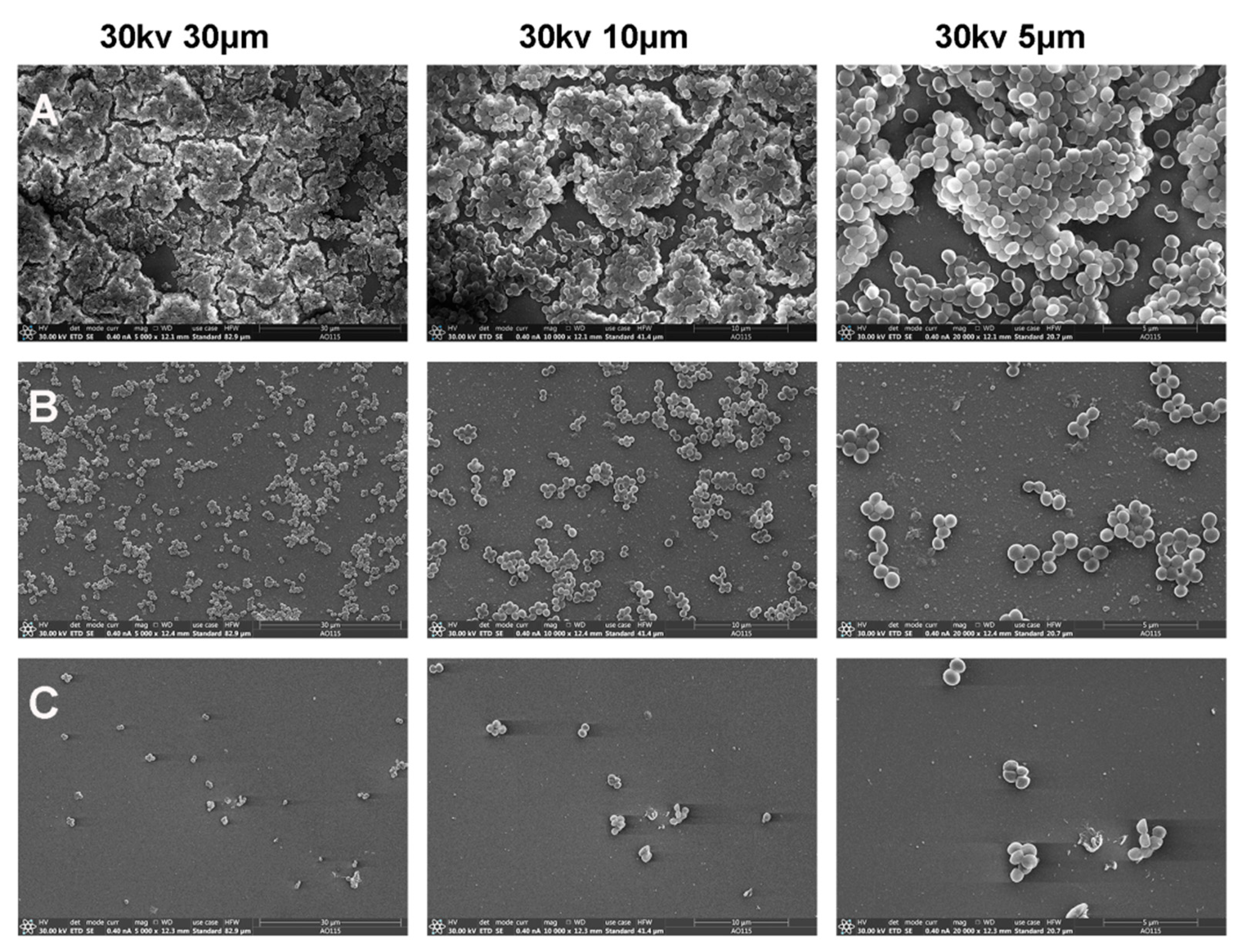 Biomolecules 11 00761 g007 Biomolecules 11 00761 g007