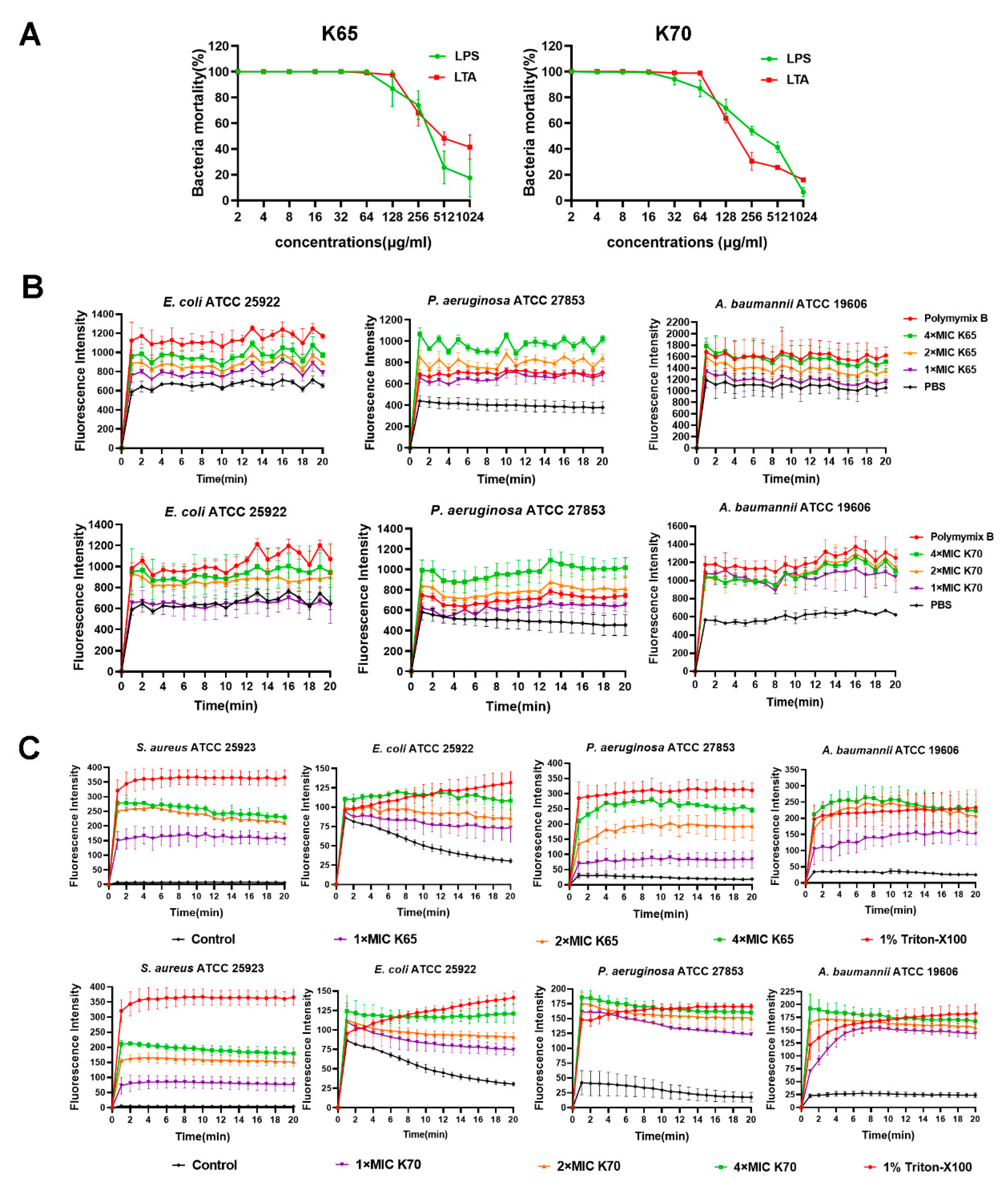 Biomolecules 11 00761 g008 Biomolecules 11 00761 g008