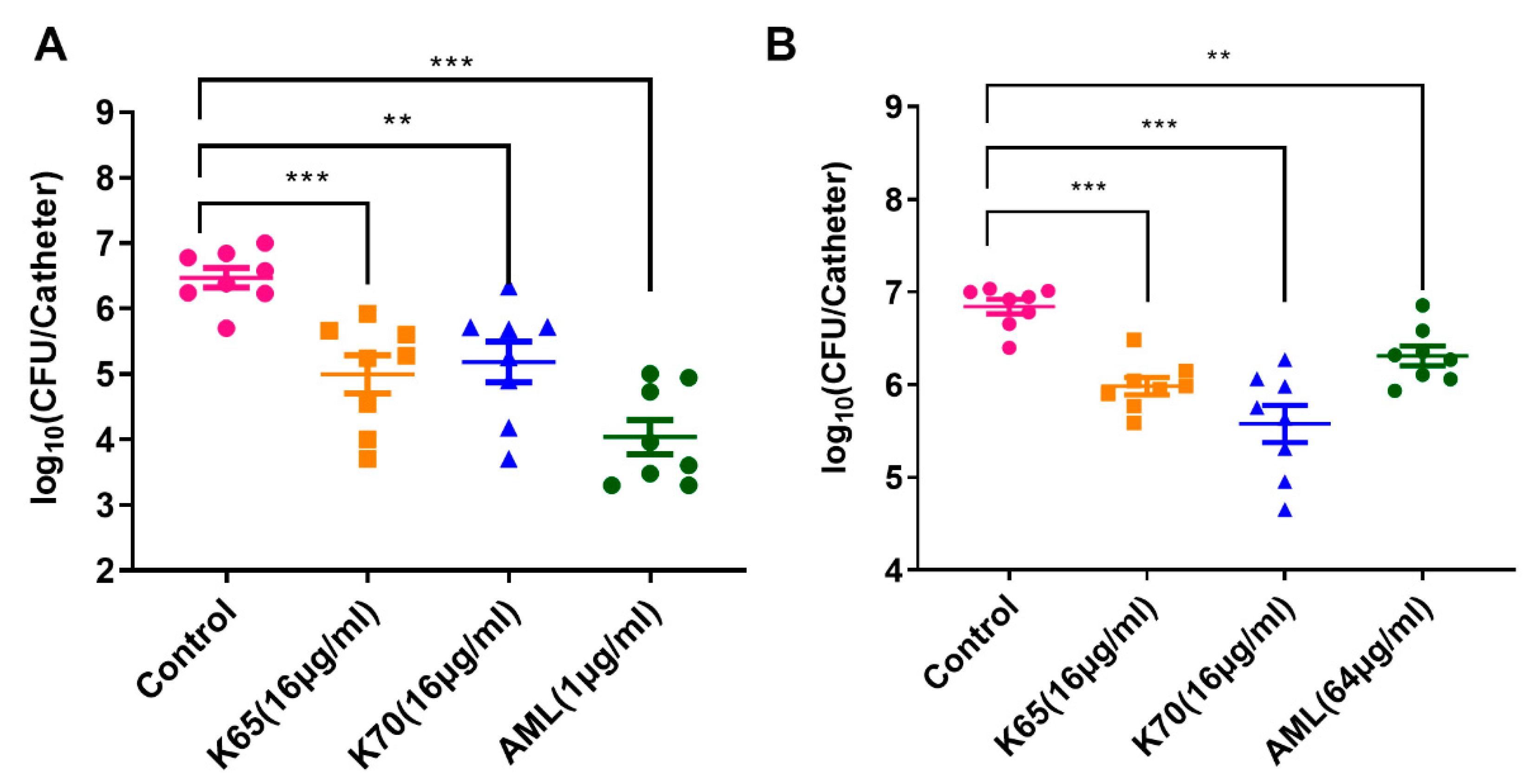 Biomolecules 11 00761 g010 Biomolecules 11 00761 g010