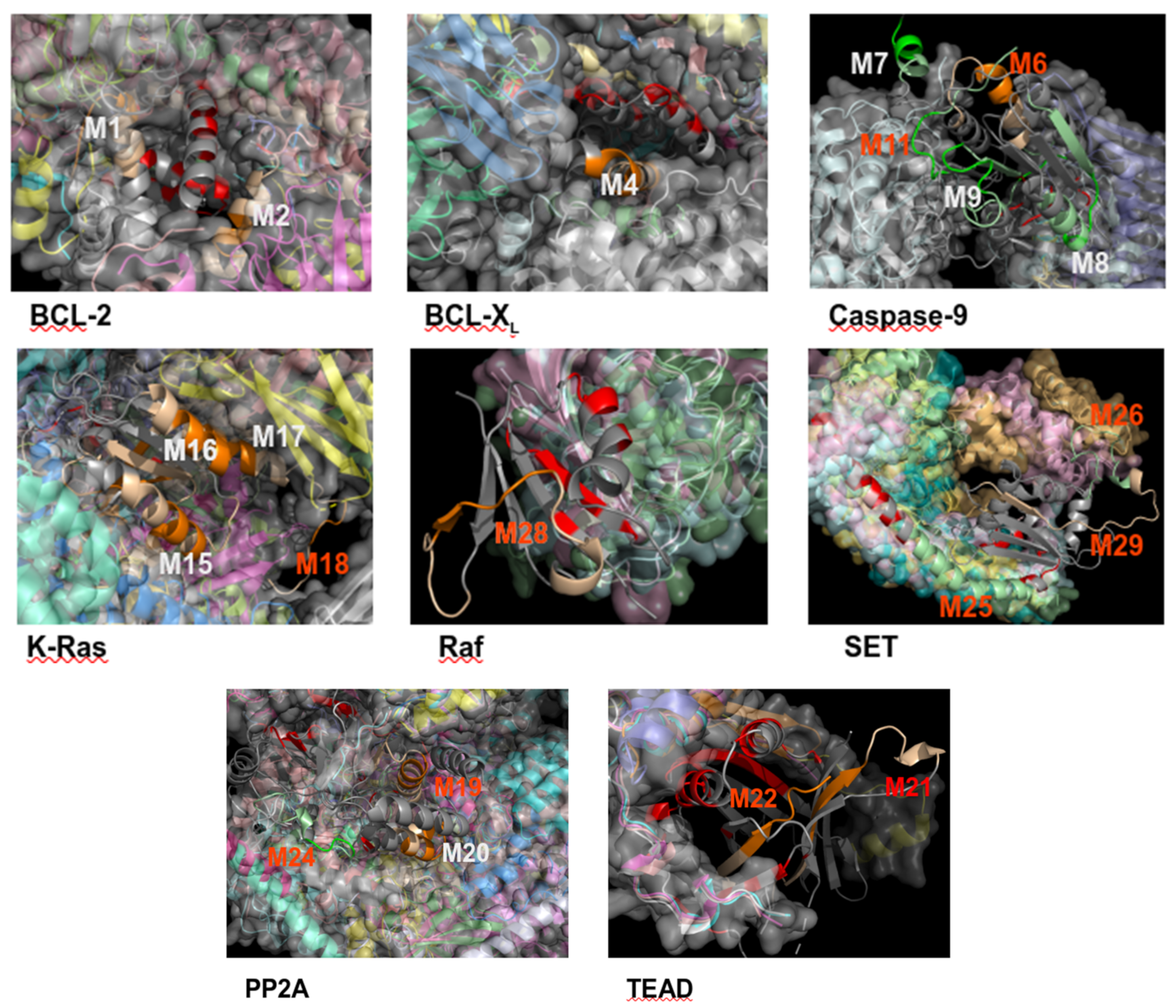 Biomolecules 11 00772 g003 Biomolecules 11 00772 g003