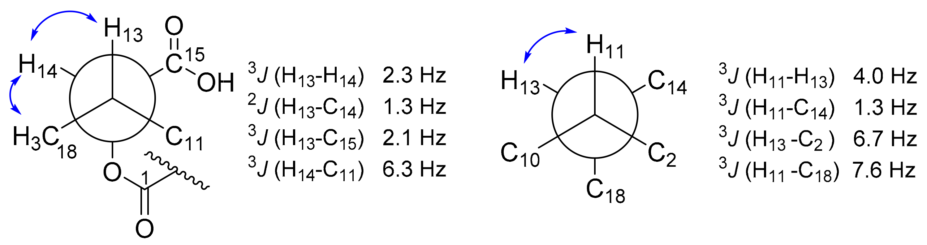 Biomolecules 11 00783 g004