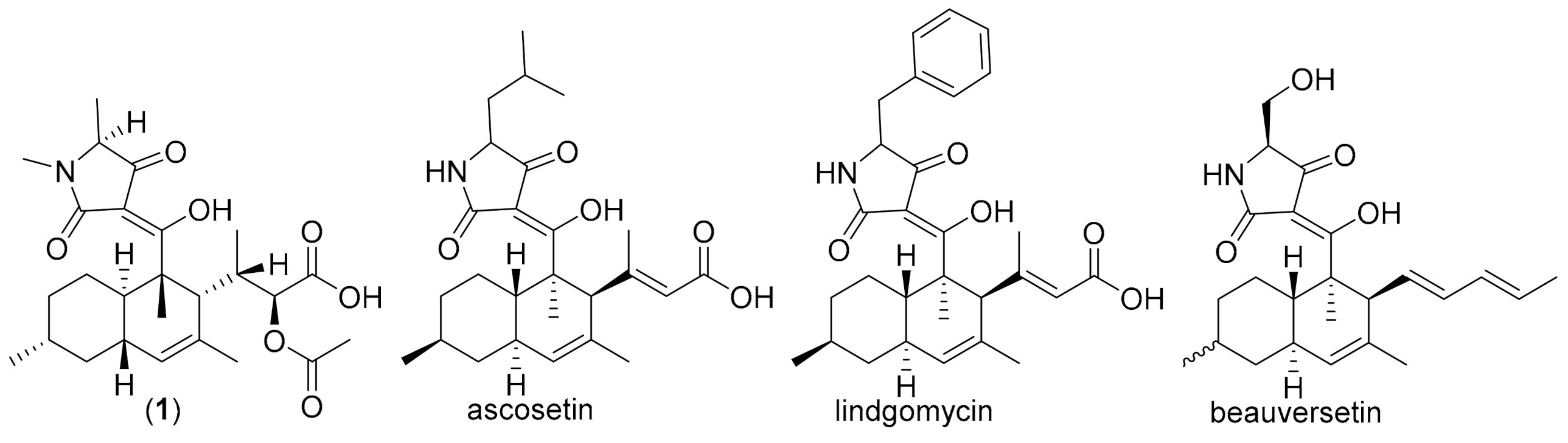 Biomolecules 11 00783 g006