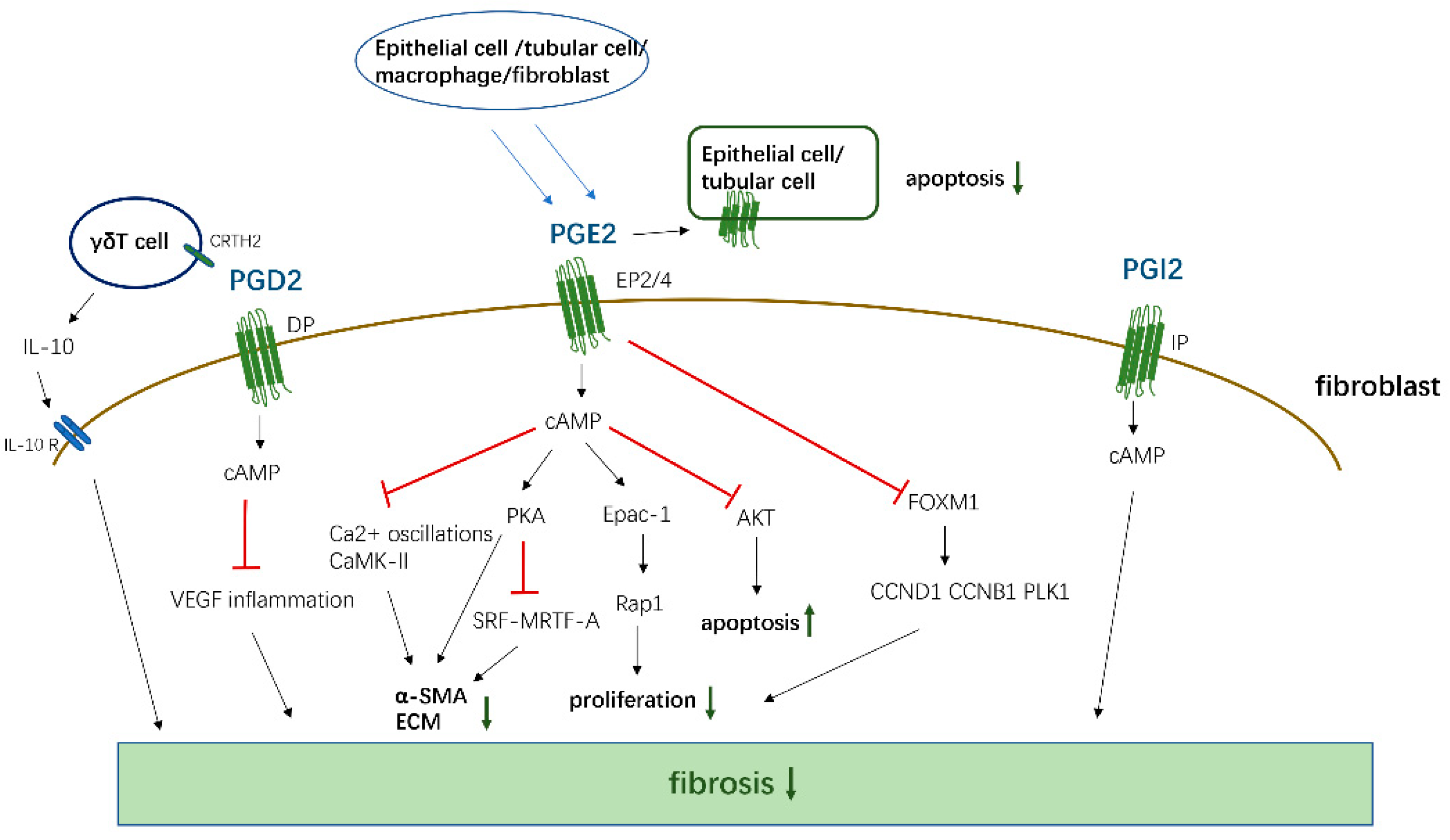 Biomolecules 11 00789 g002 Biomolecules 11 00789 g002