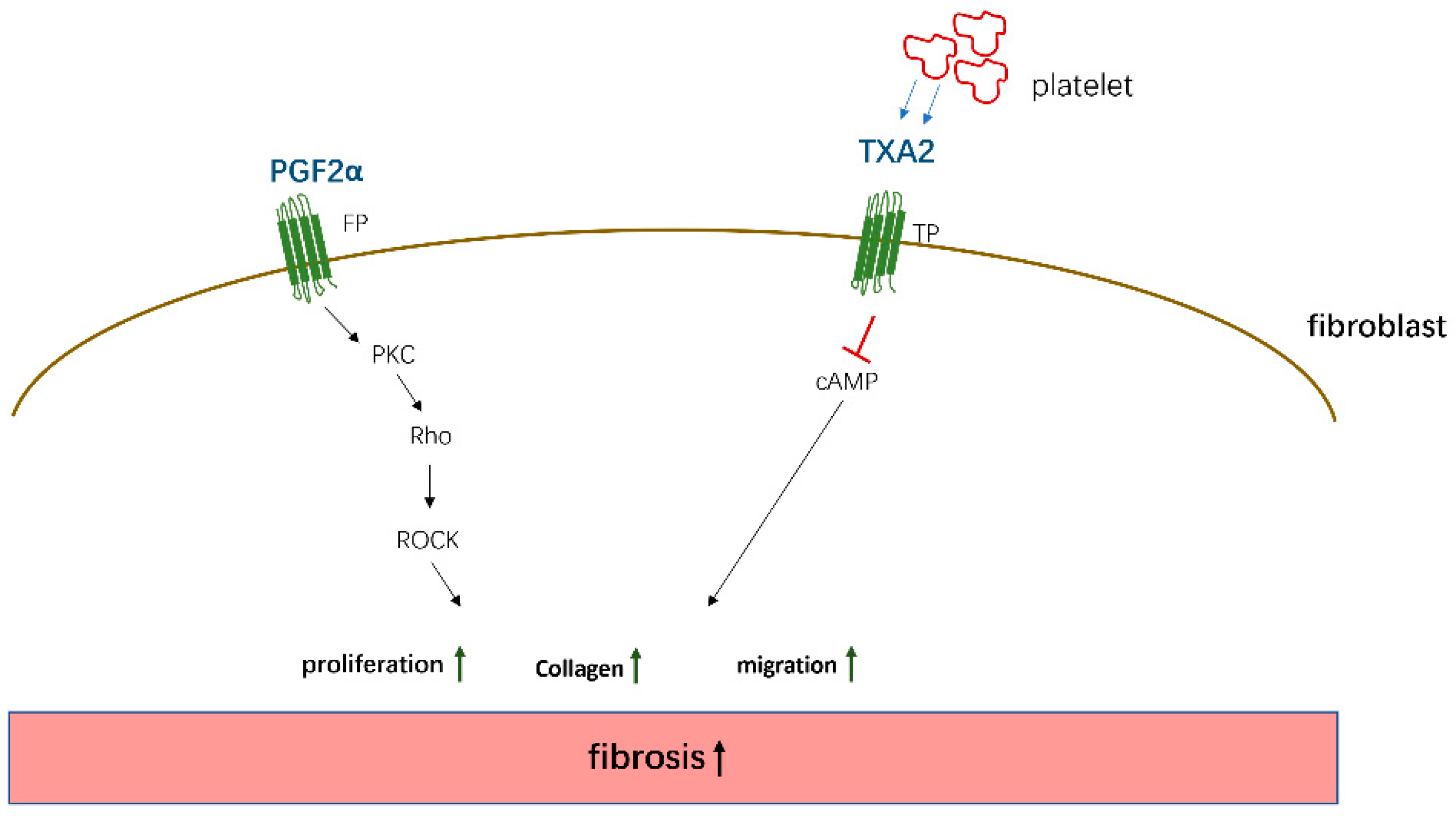 Biomolecules 11 00789 g003 Biomolecules 11 00789 g003