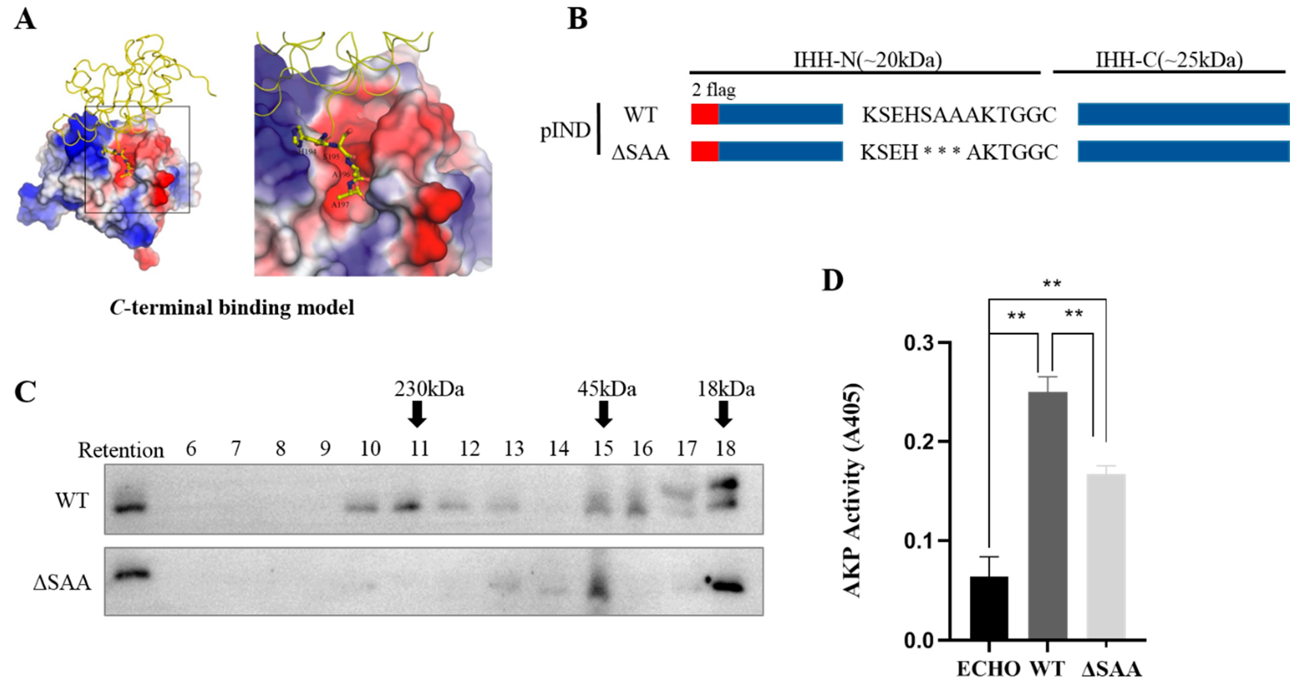 Biomolecules 11 00792 g001