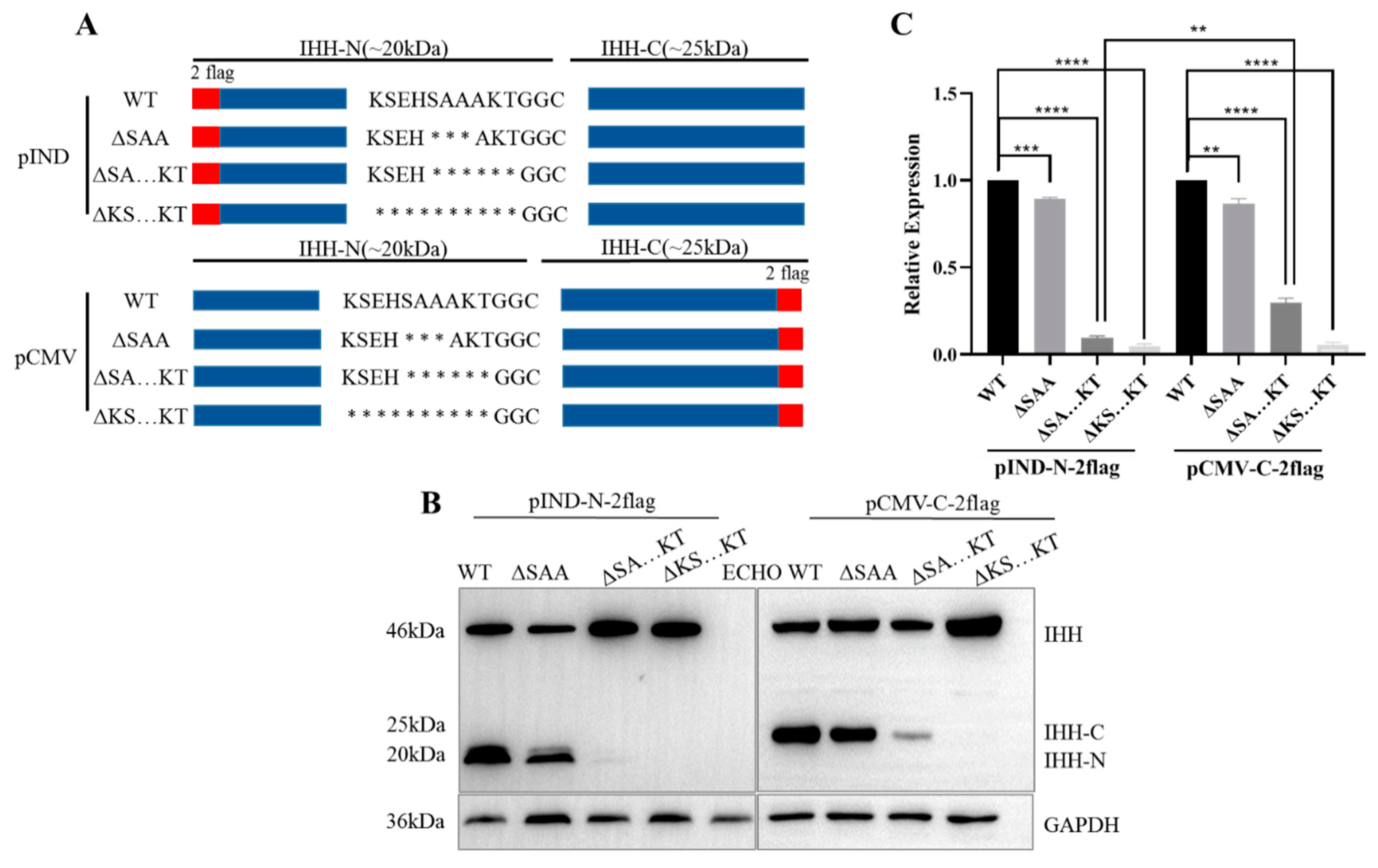 Biomolecules 11 00792 g002