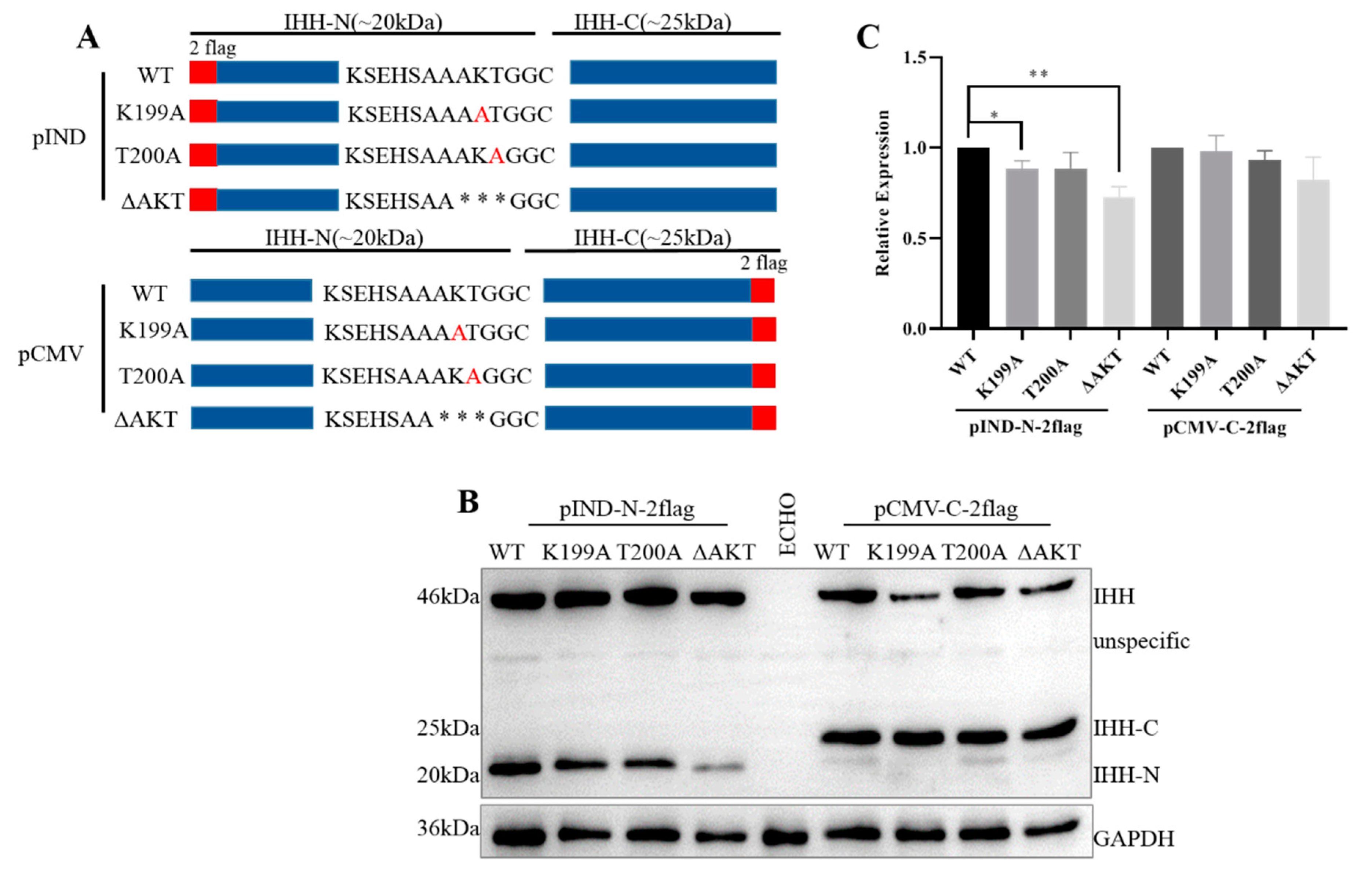 Biomolecules 11 00792 g006