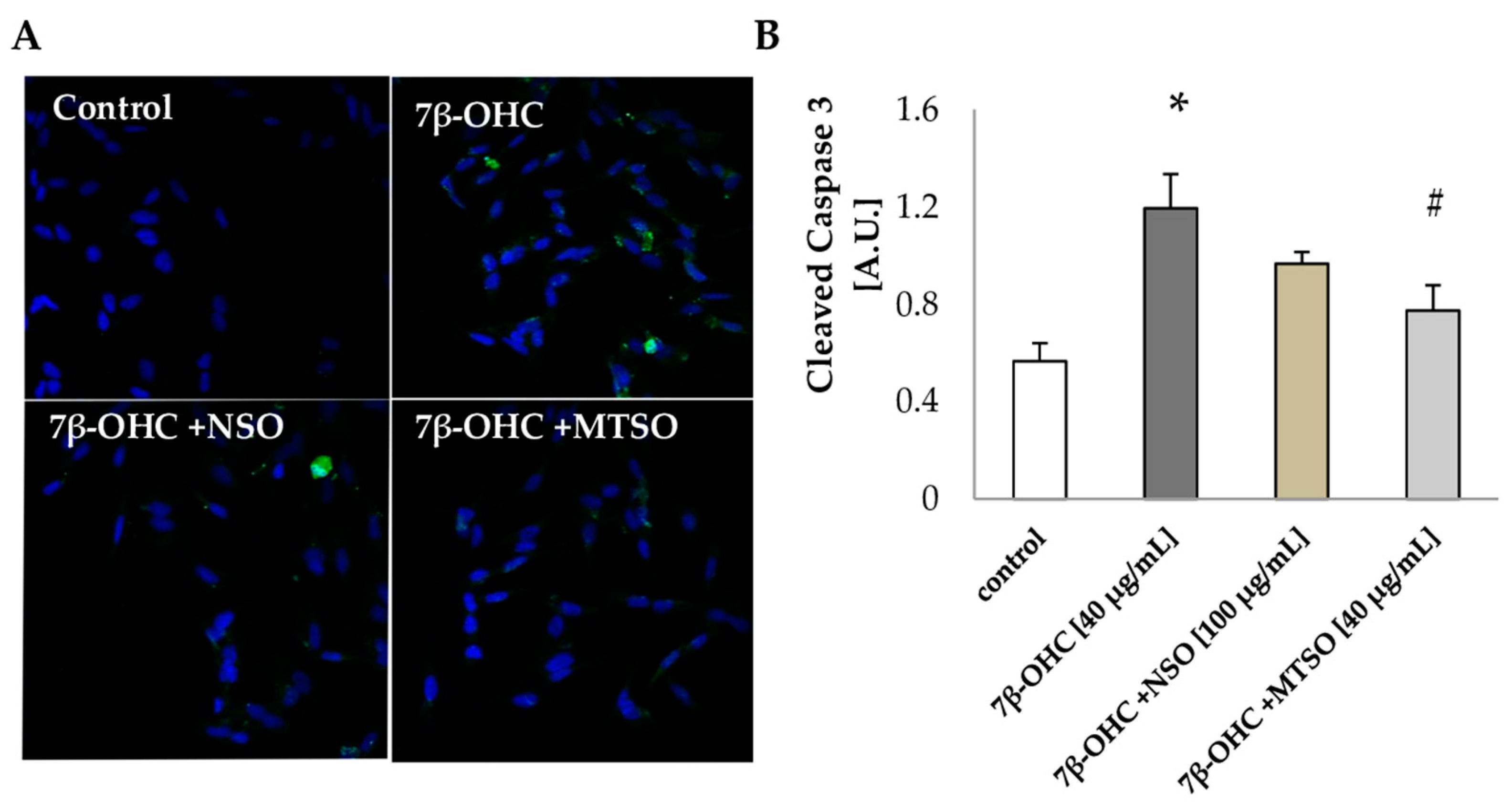 Biomolecules 11 00797 g006 Biomolecules 11 00797 g006
