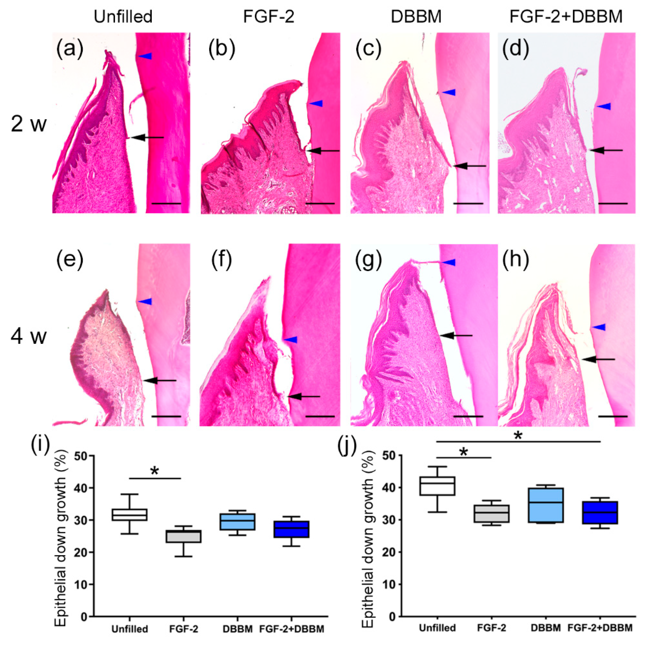 Biomolecules 11 00805 g003