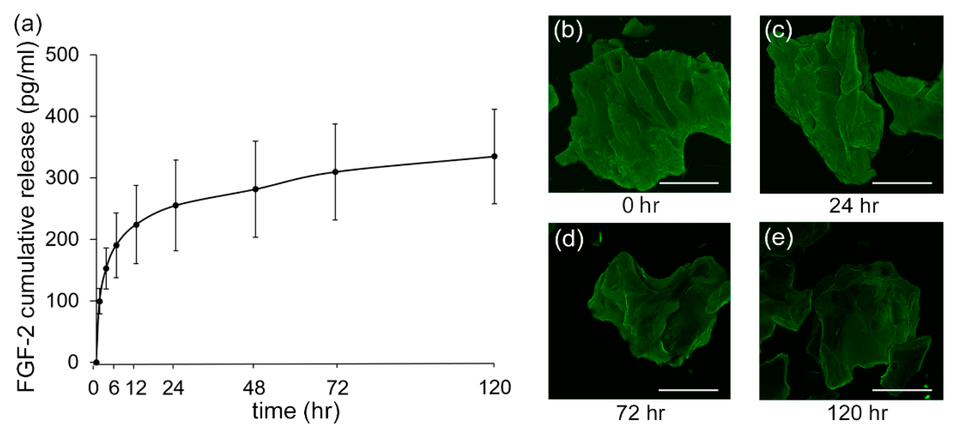 Biomolecules 11 00805 g005