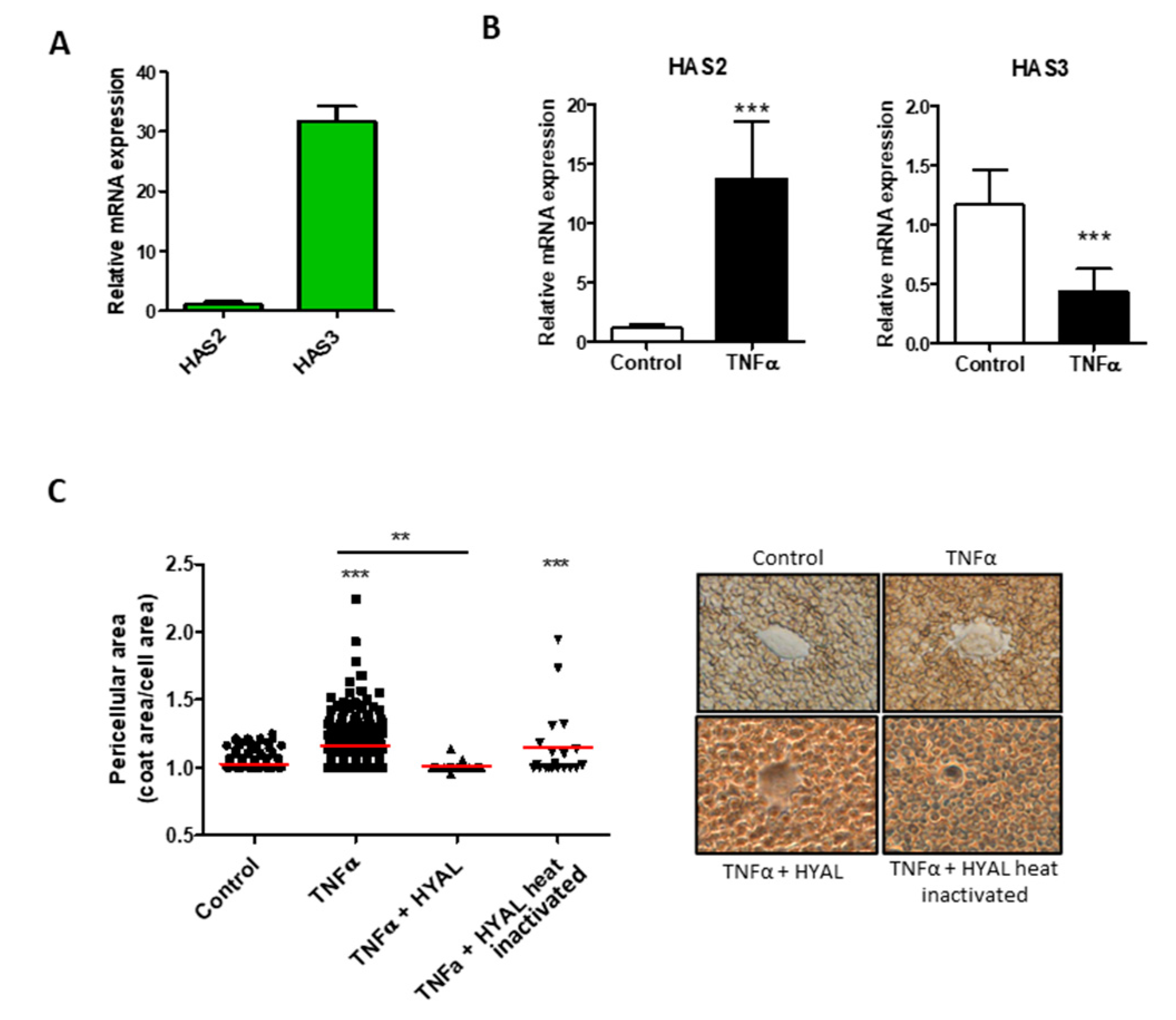 Biomolecules 11 00809 g002