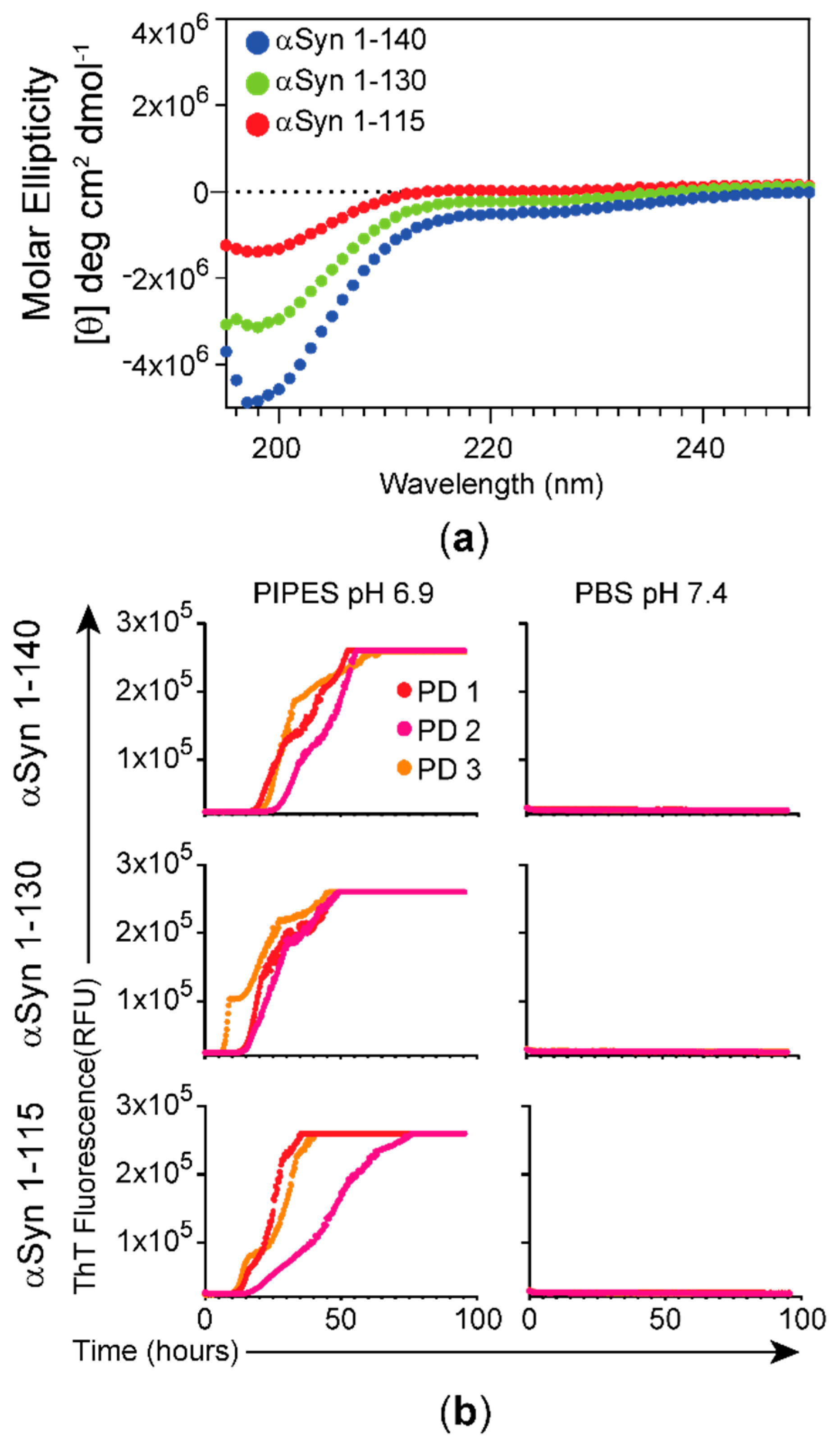 Biomolecules 11 00820 g001 Biomolecules 11 00820 g001