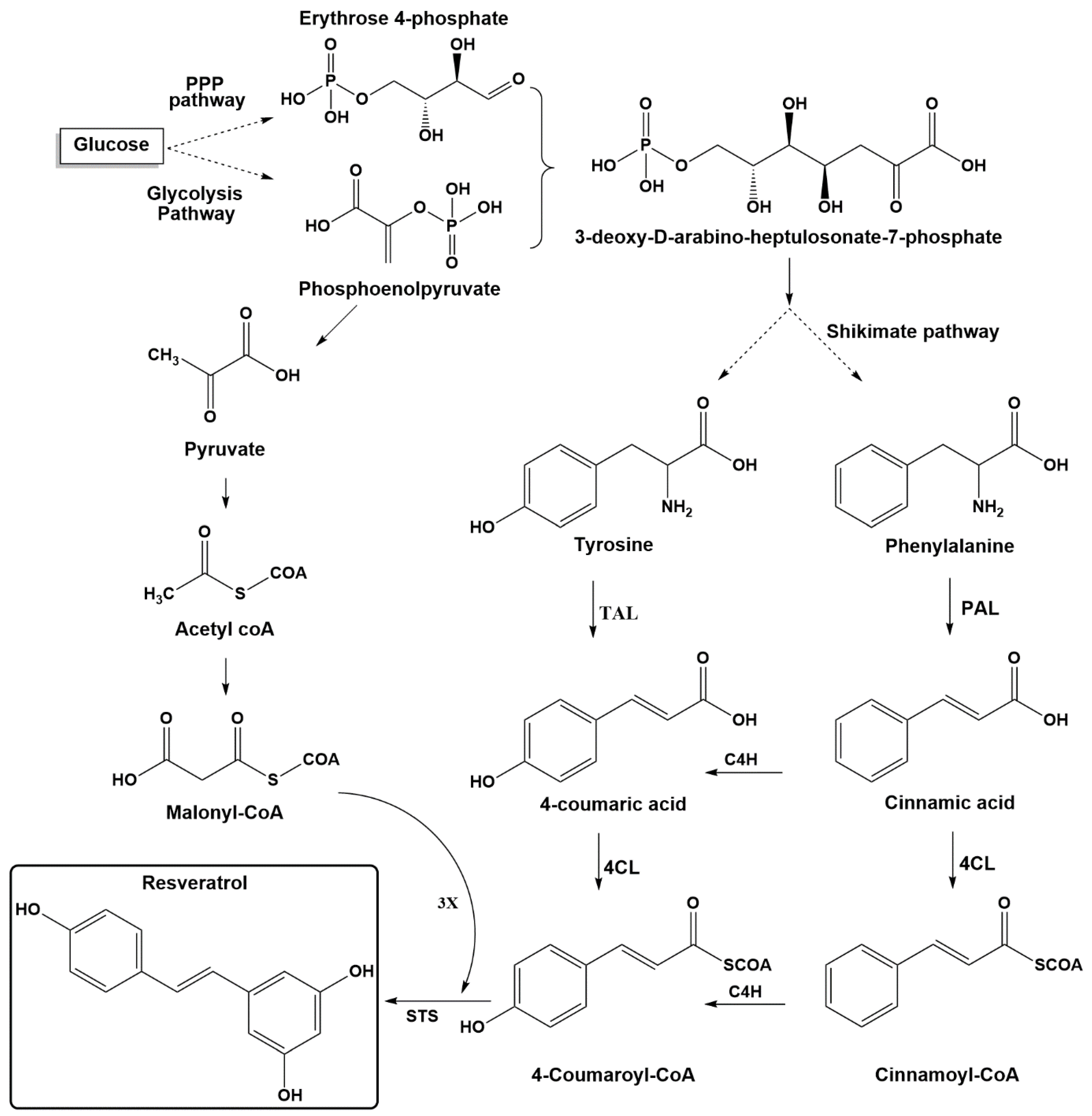 Biomolecules 11 00830 g002