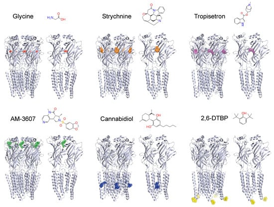 Biomolecules Full-Text | Glycine Receptors in Nociceptive Control—An | HTML