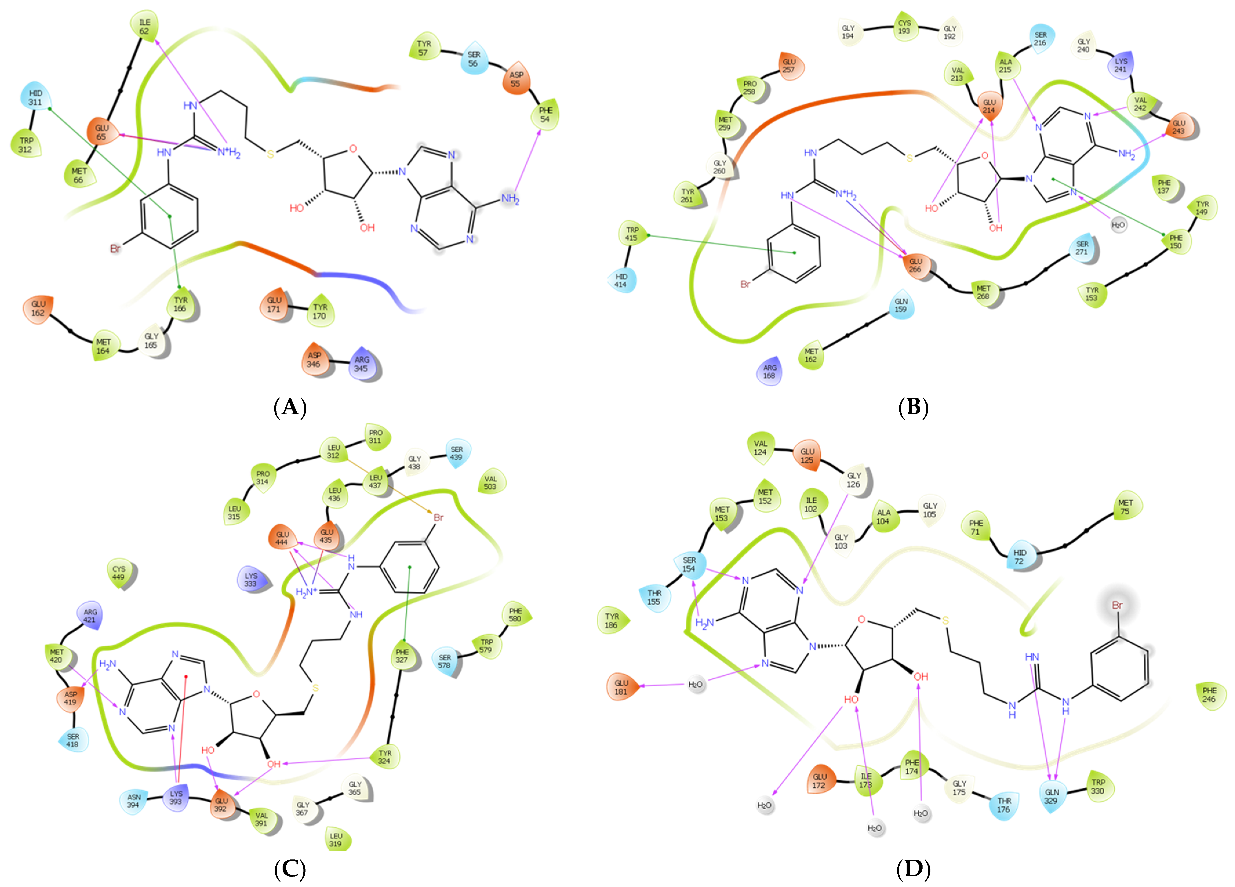 Biomolecules 11 00854 g008 Biomolecules 11 00854 g008