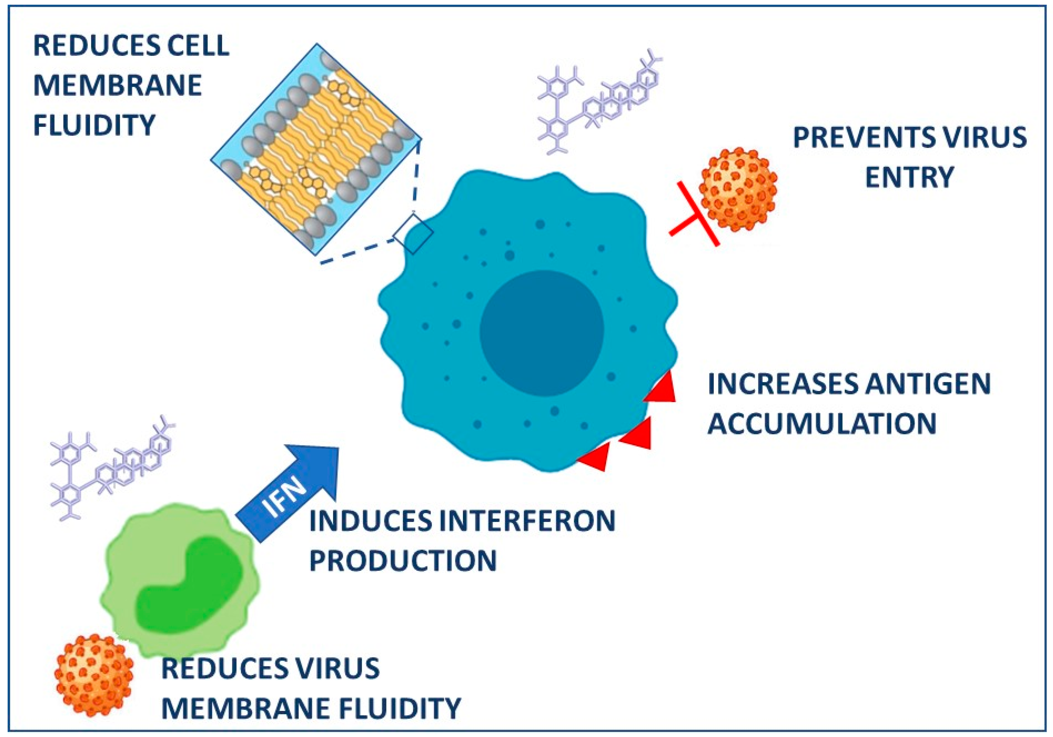 Biomolecules 11 00855 g002 Biomolecules 11 00855 g002