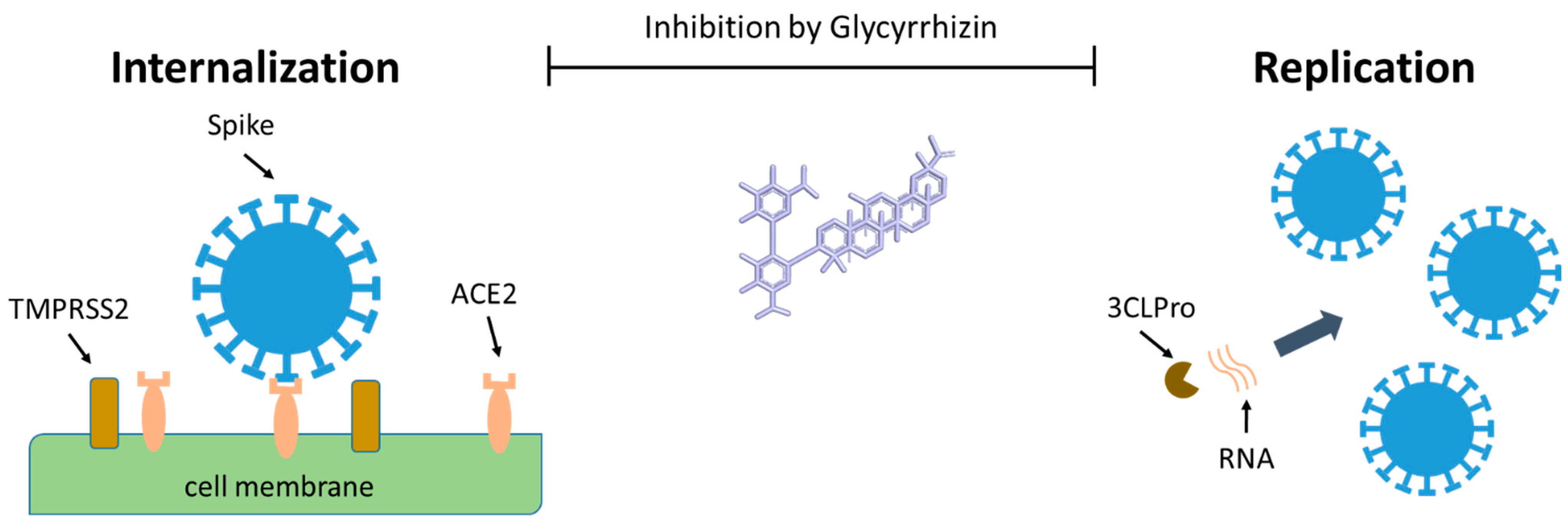 Biomolecules 11 00855 g003 Biomolecules 11 00855 g003
