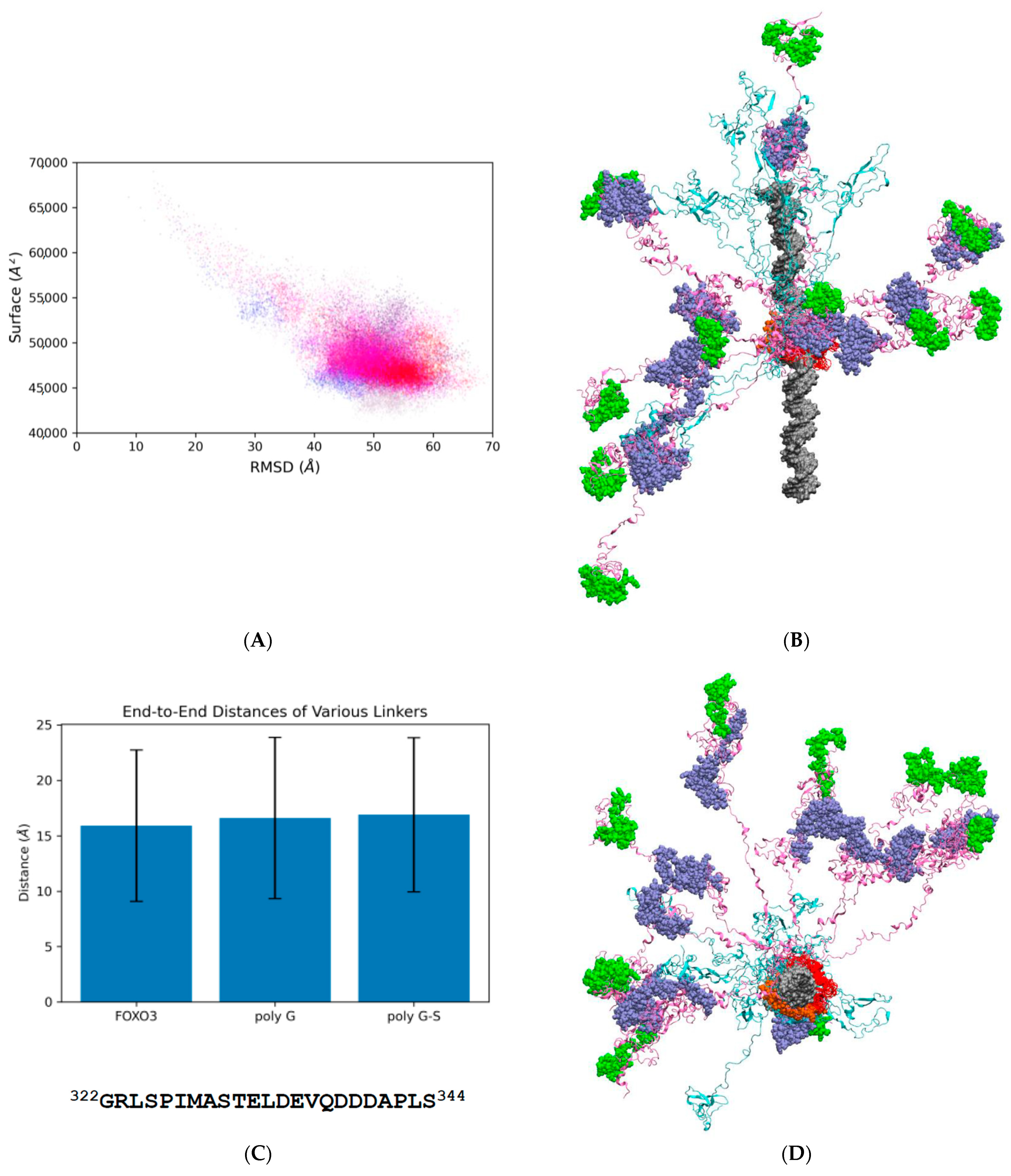 Biomolecules | Free Full-Text | Molecular Dynamics Simulations of Human  FOXO3 Reveal Intrinsically Disordered Regions Spread Spatially by  Intramolecular Electrostatic Repulsion