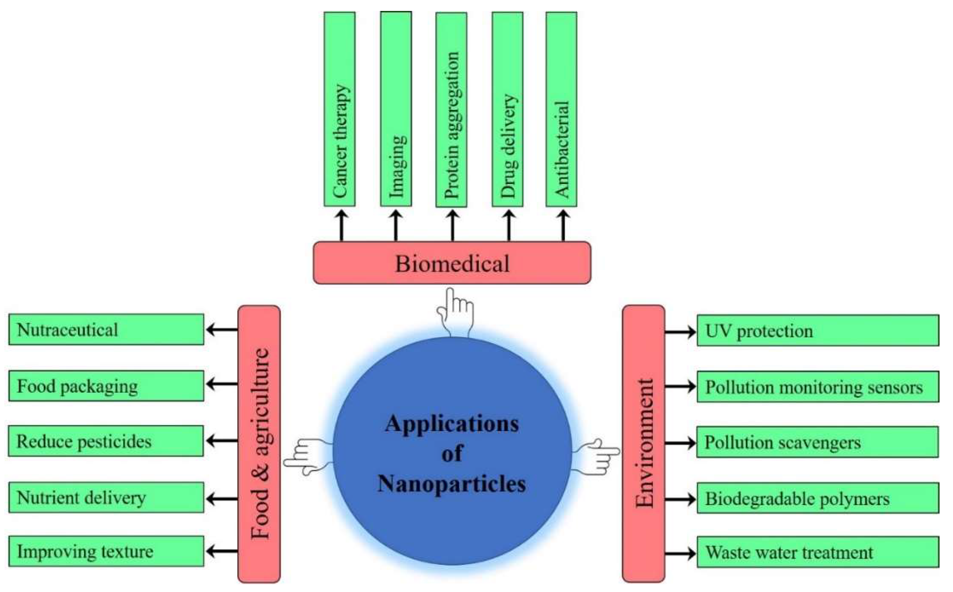Biomolecules 11 00886 g003 Biomolecules 11 00886 g003