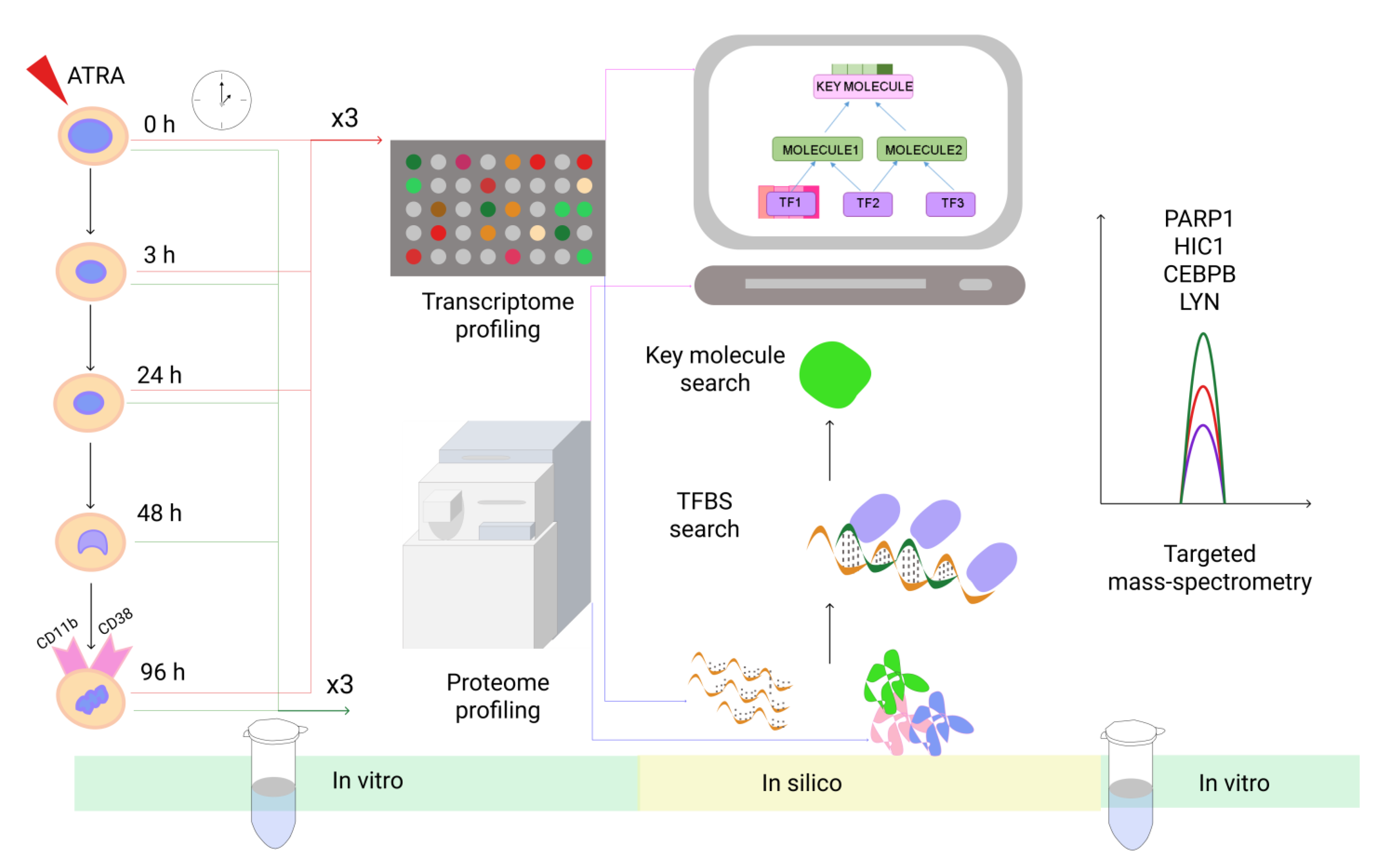 Biomolecules 11 00907 g001