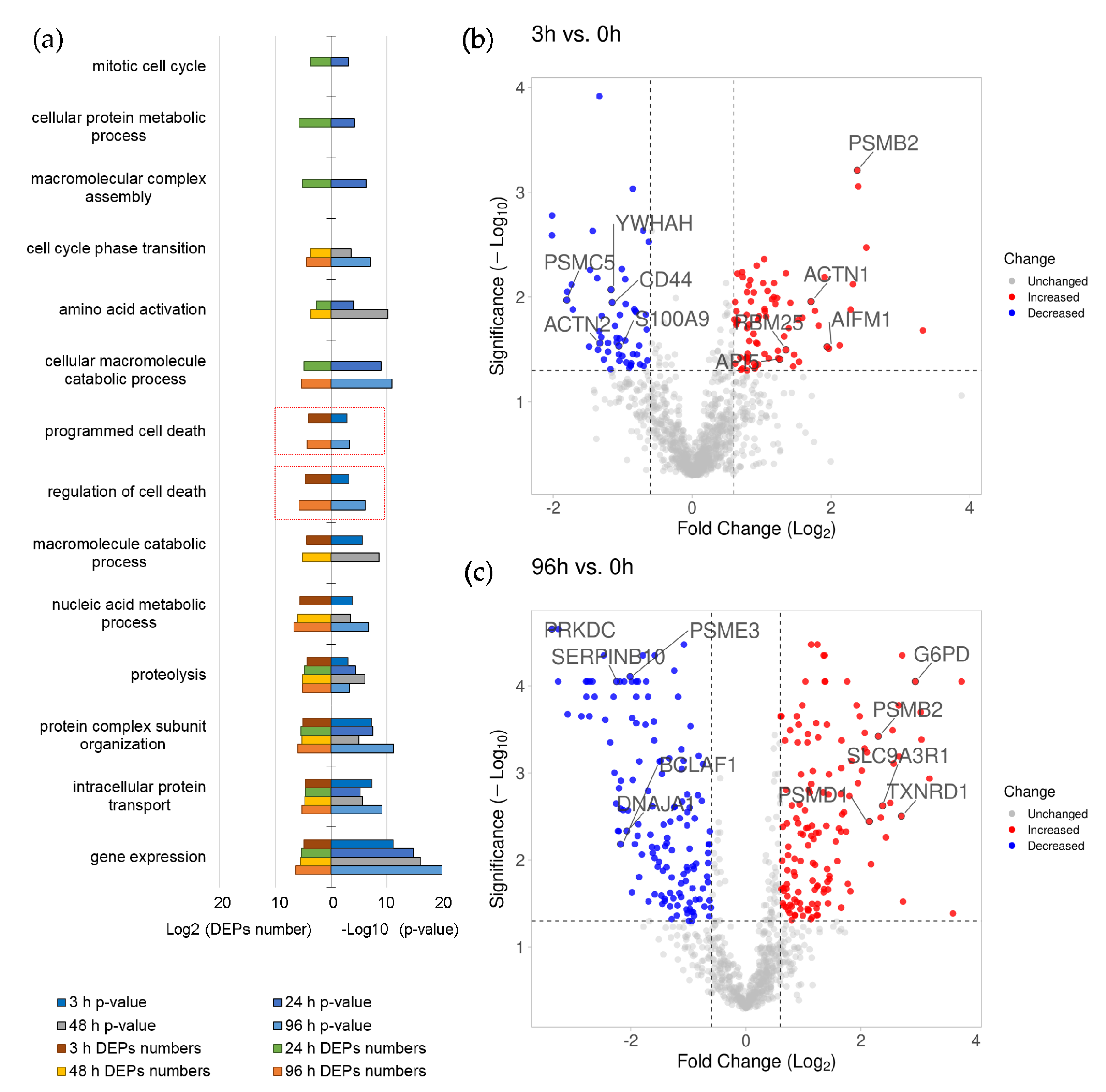 Biomolecules 11 00907 g003