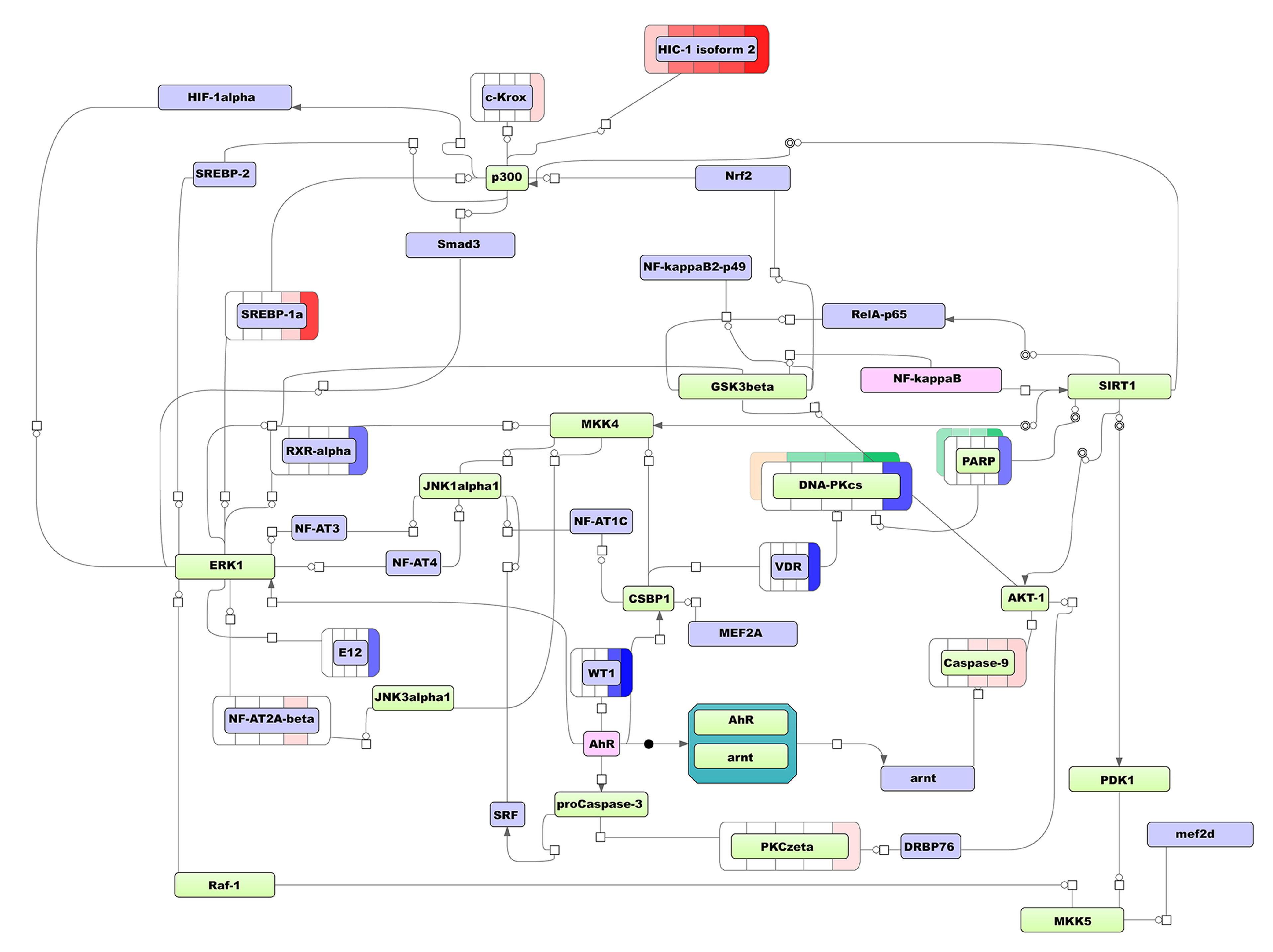 Biomolecules 11 00907 g004