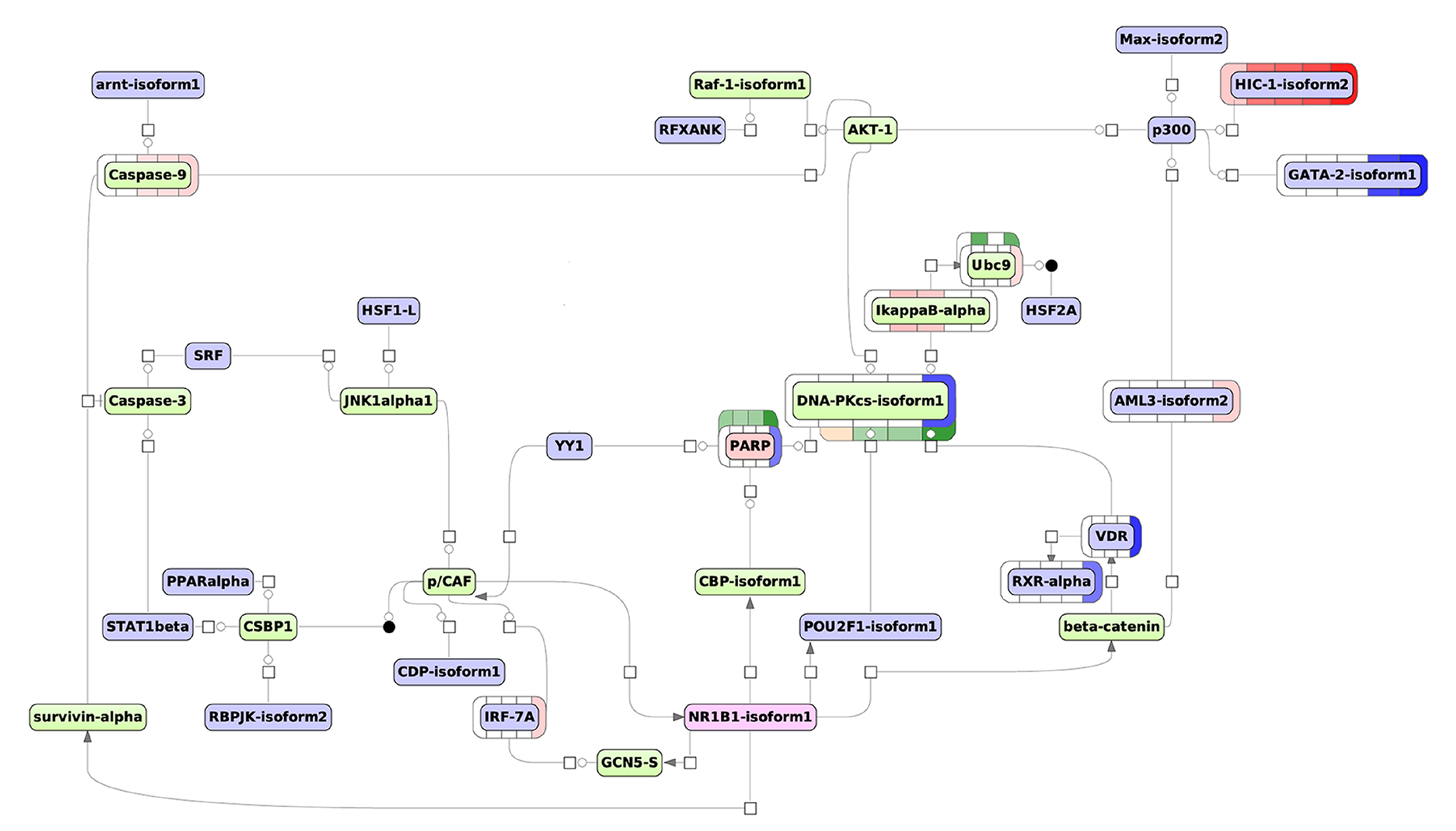 Biomolecules 11 00907 g005