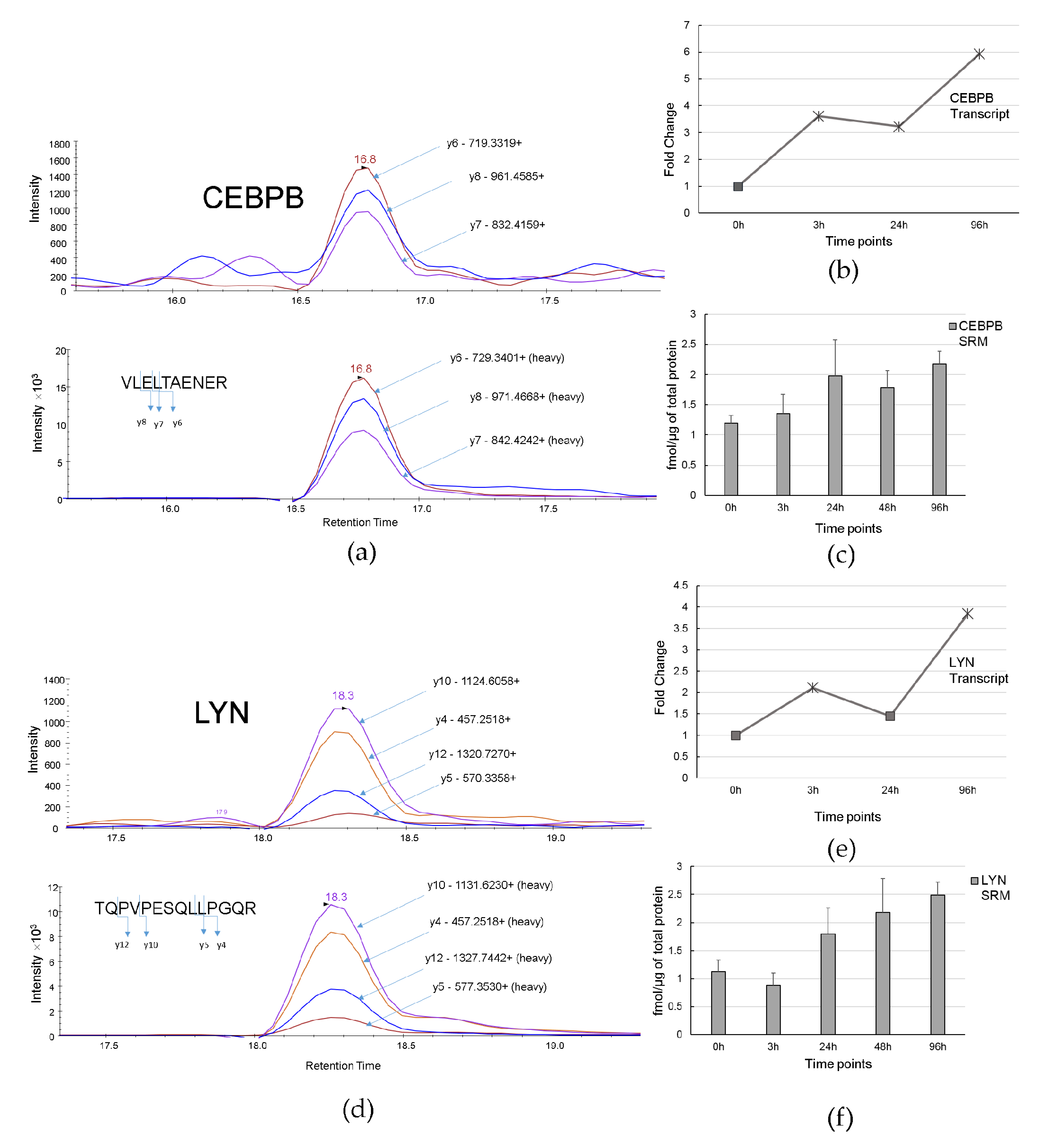 Biomolecules 11 00907 g008