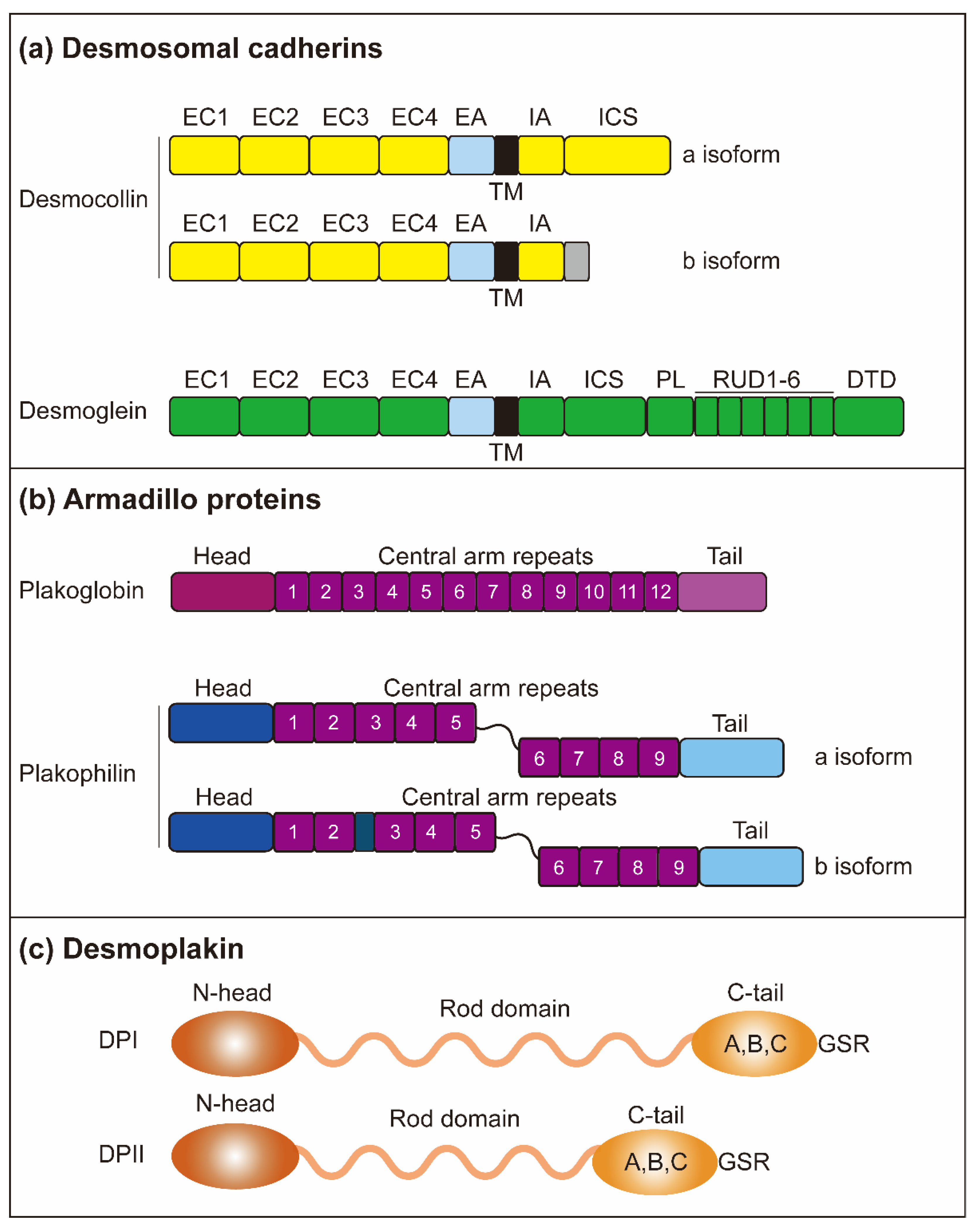 Biomolecules 11 00914 g002 Biomolecules 11 00914 g002