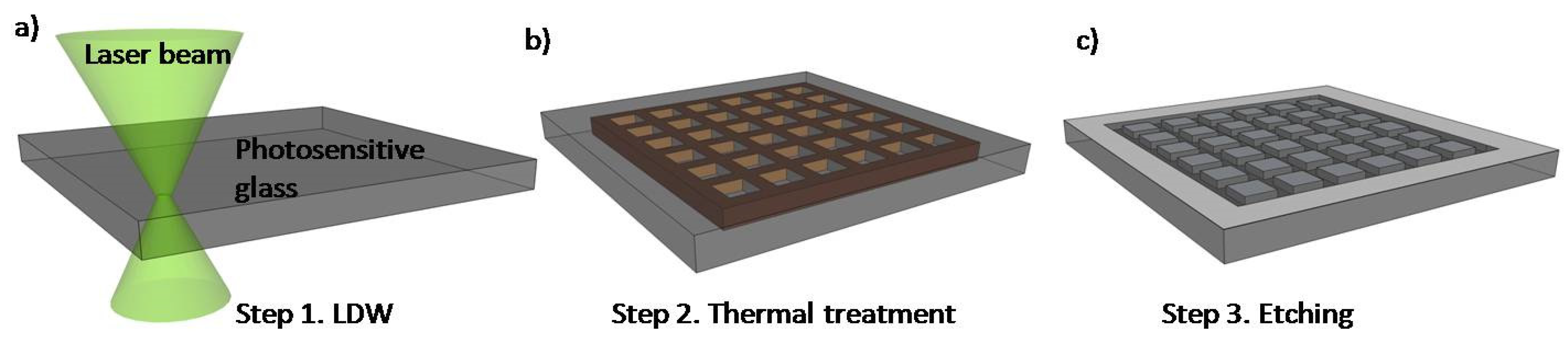 Biomolecules 11 00916 g002