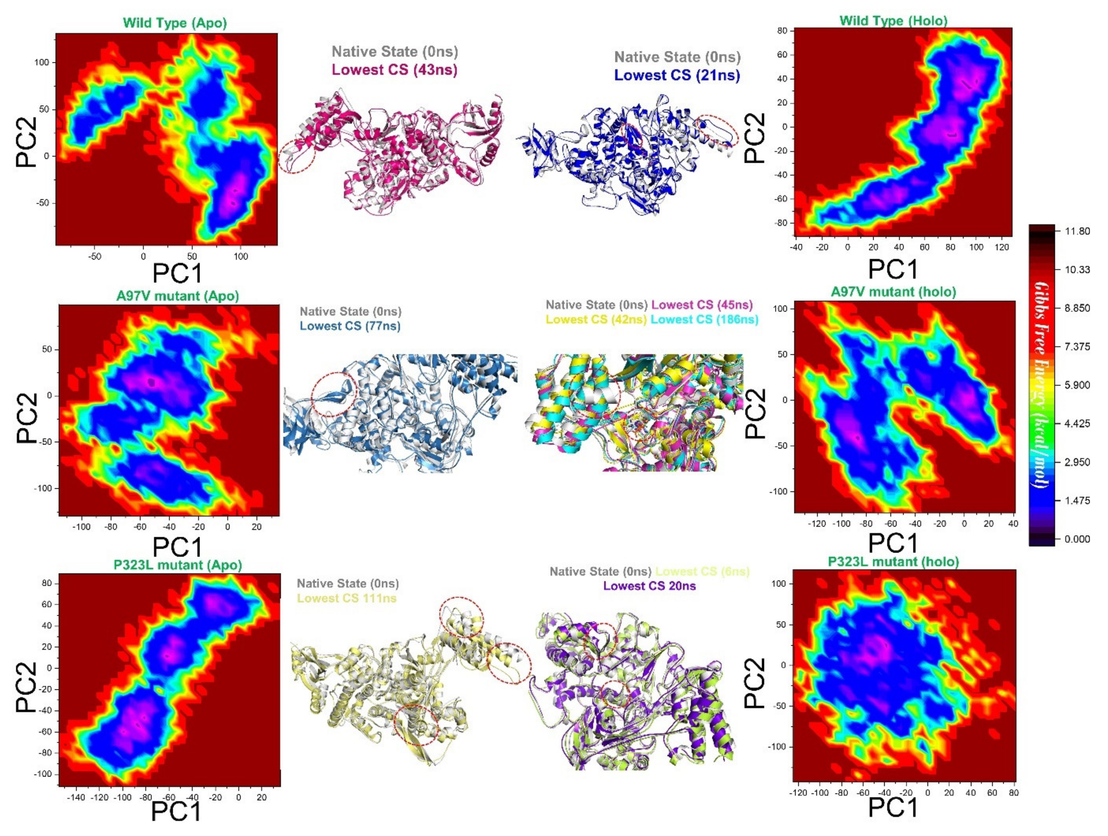 Biomolecules 11 00919 g007