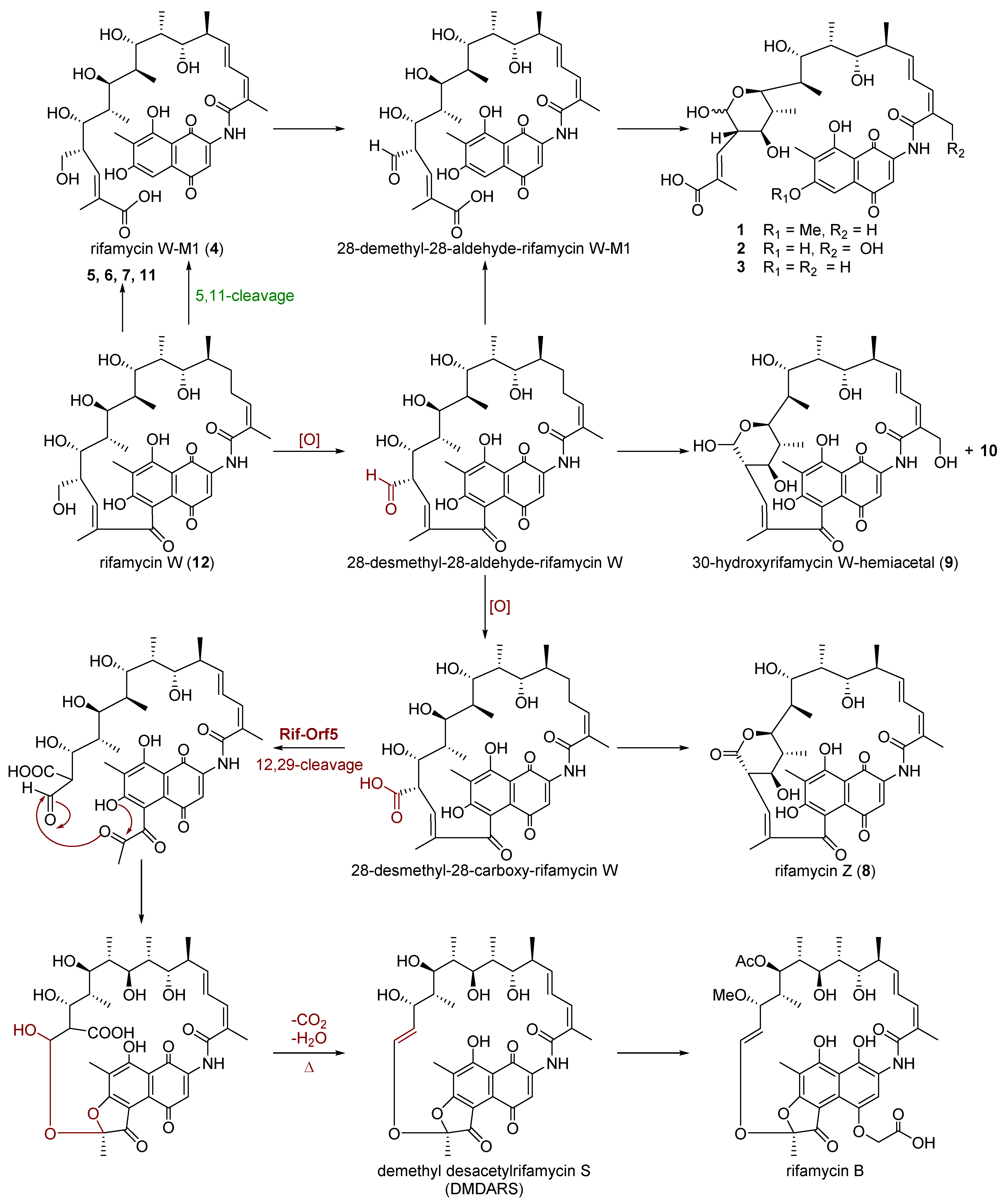 Biomolecules 11 00920 g003 Biomolecules 11 00920 g003