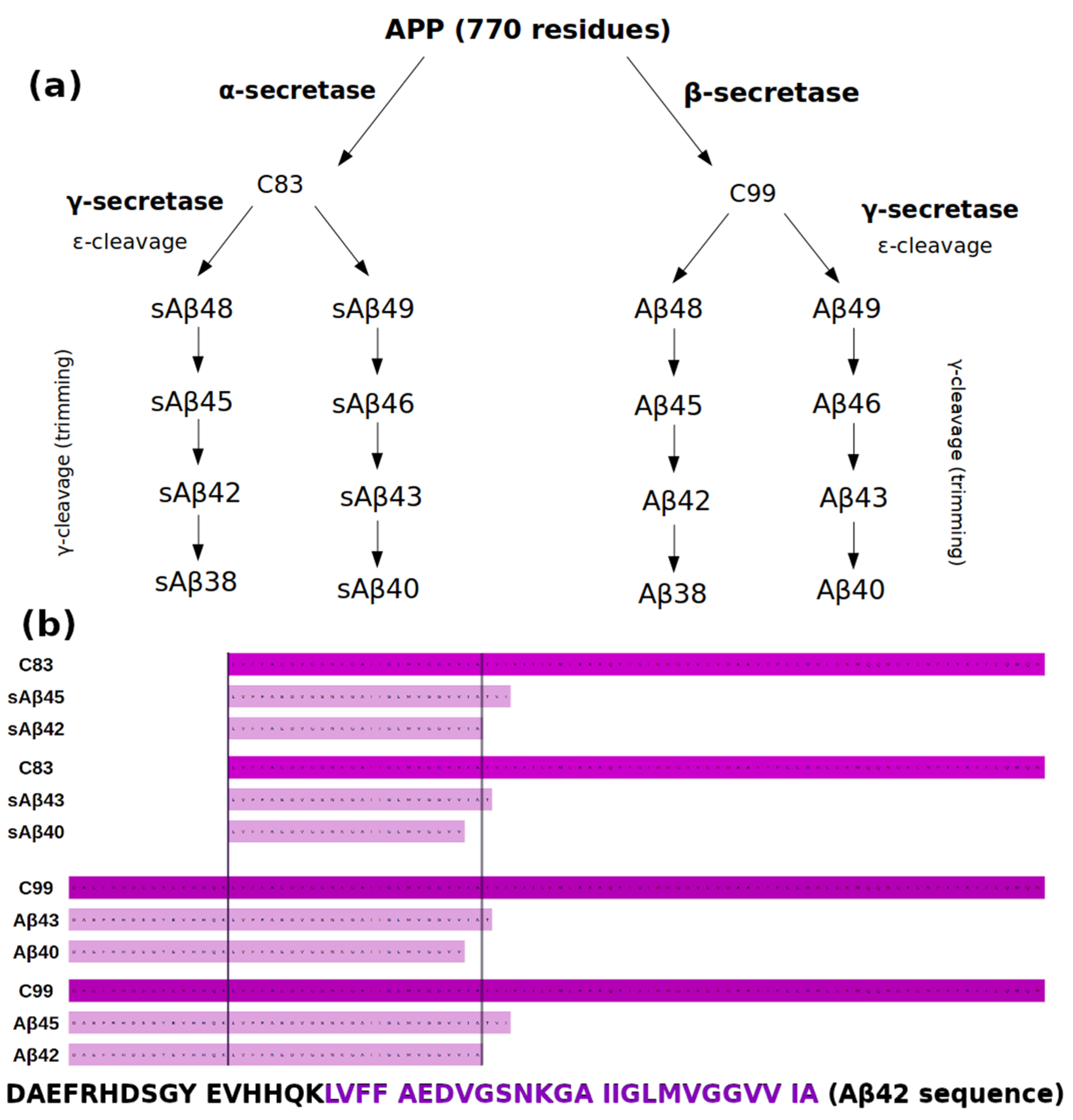 Biomolecules 11 00935 g001