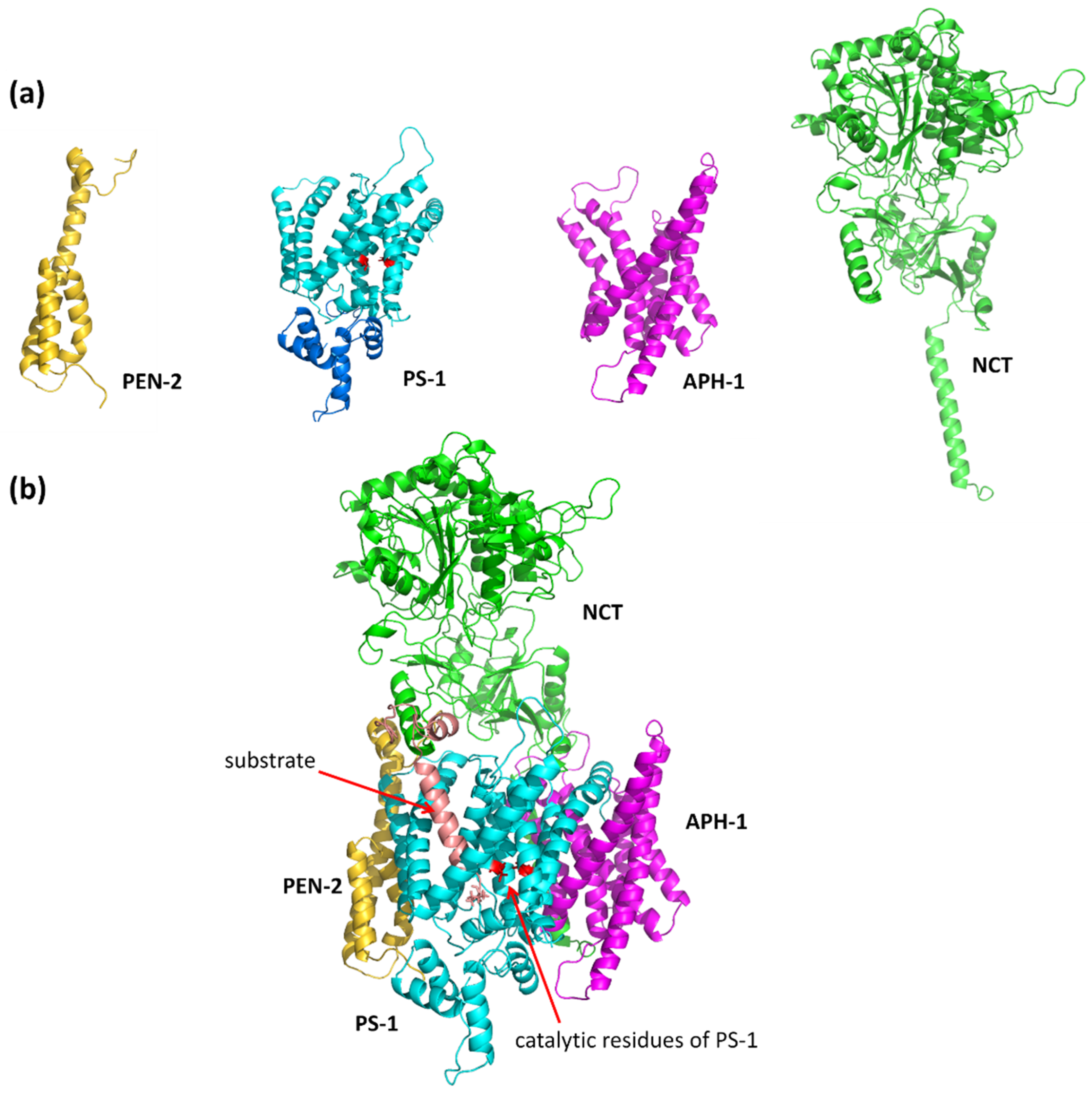Biomolecules 11 00935 g002