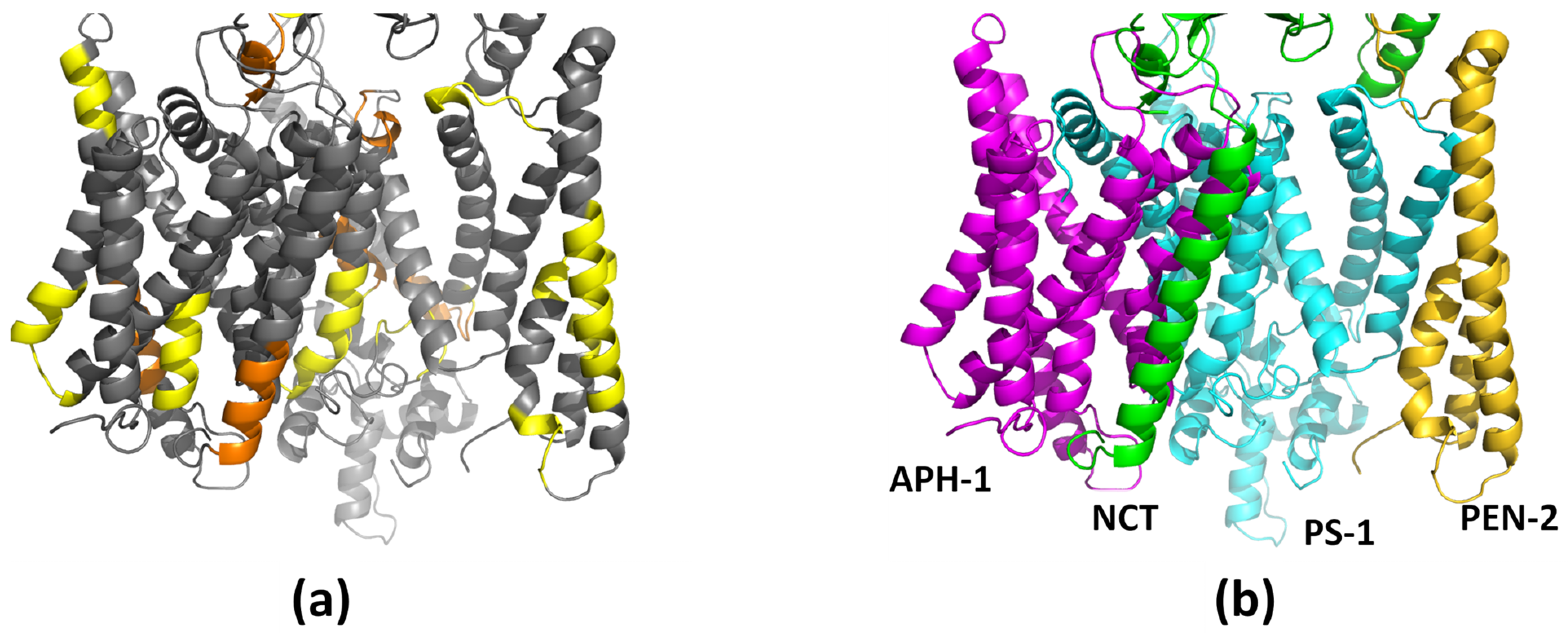 Biomolecules 11 00935 g008